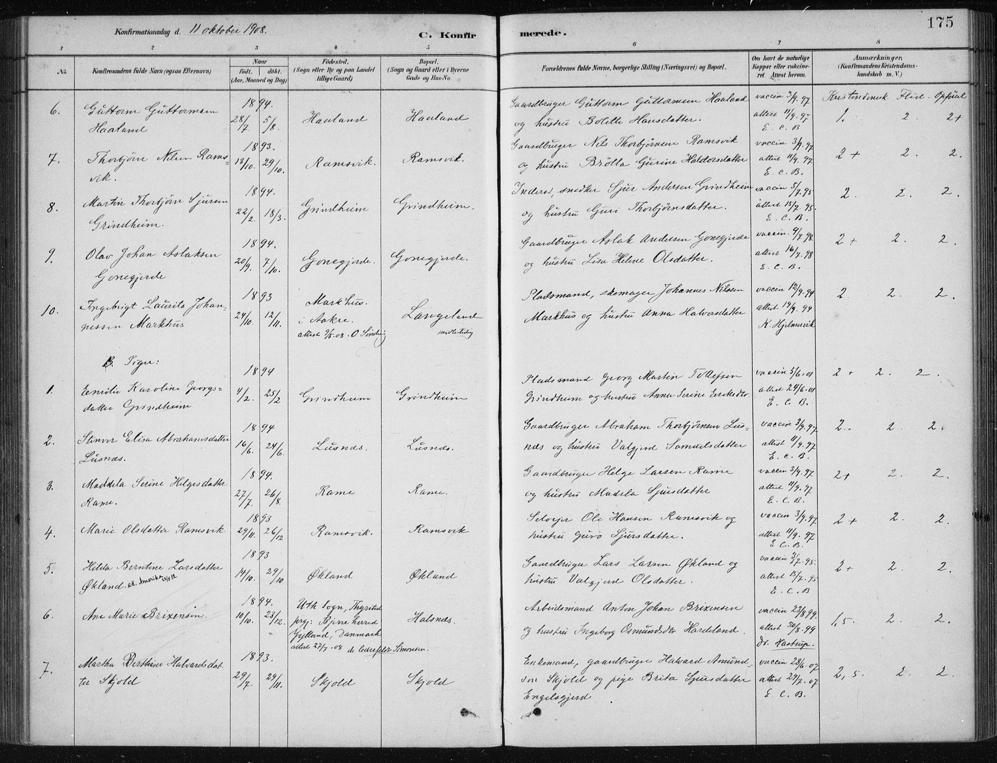 Etne sokneprestembete, SAB/A-75001/H/Haa: Parish register (official) no. D  1, 1879-1919, p. 175