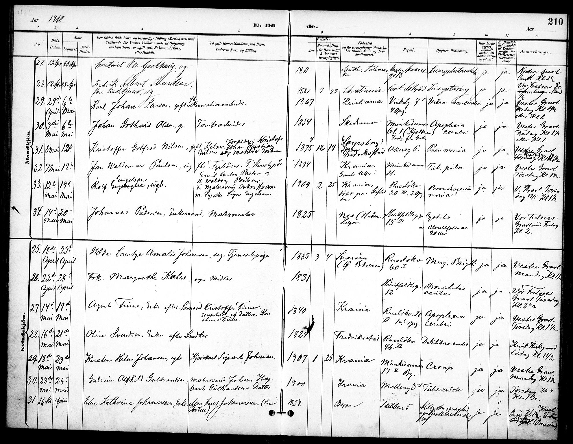 Johannes prestekontor Kirkebøker, SAO/A-10852/F/Fa/L0008: Parish register (official) no. 8, 1897-1917, p. 210