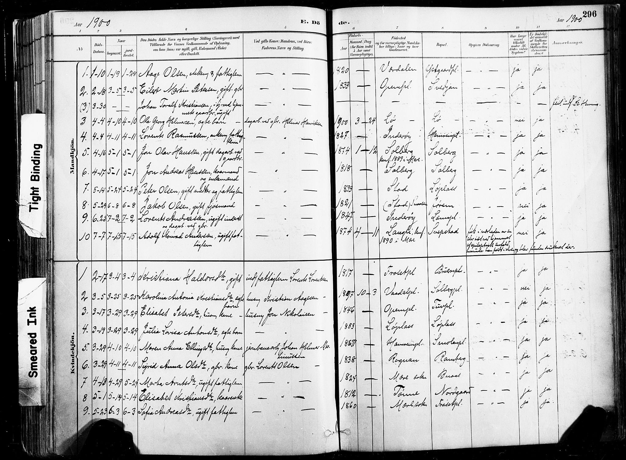 Ministerialprotokoller, klokkerbøker og fødselsregistre - Nord-Trøndelag, AV/SAT-A-1458/735/L0351: Parish register (official) no. 735A10, 1884-1908, p. 296