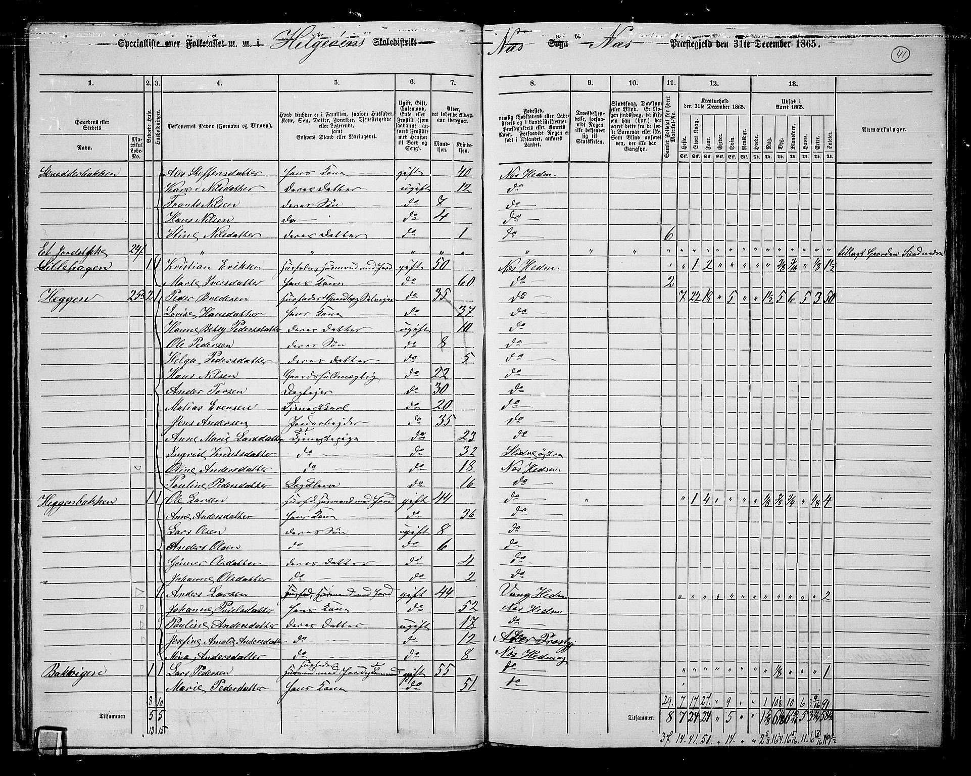 RA, 1865 census for Nes, 1865, p. 34