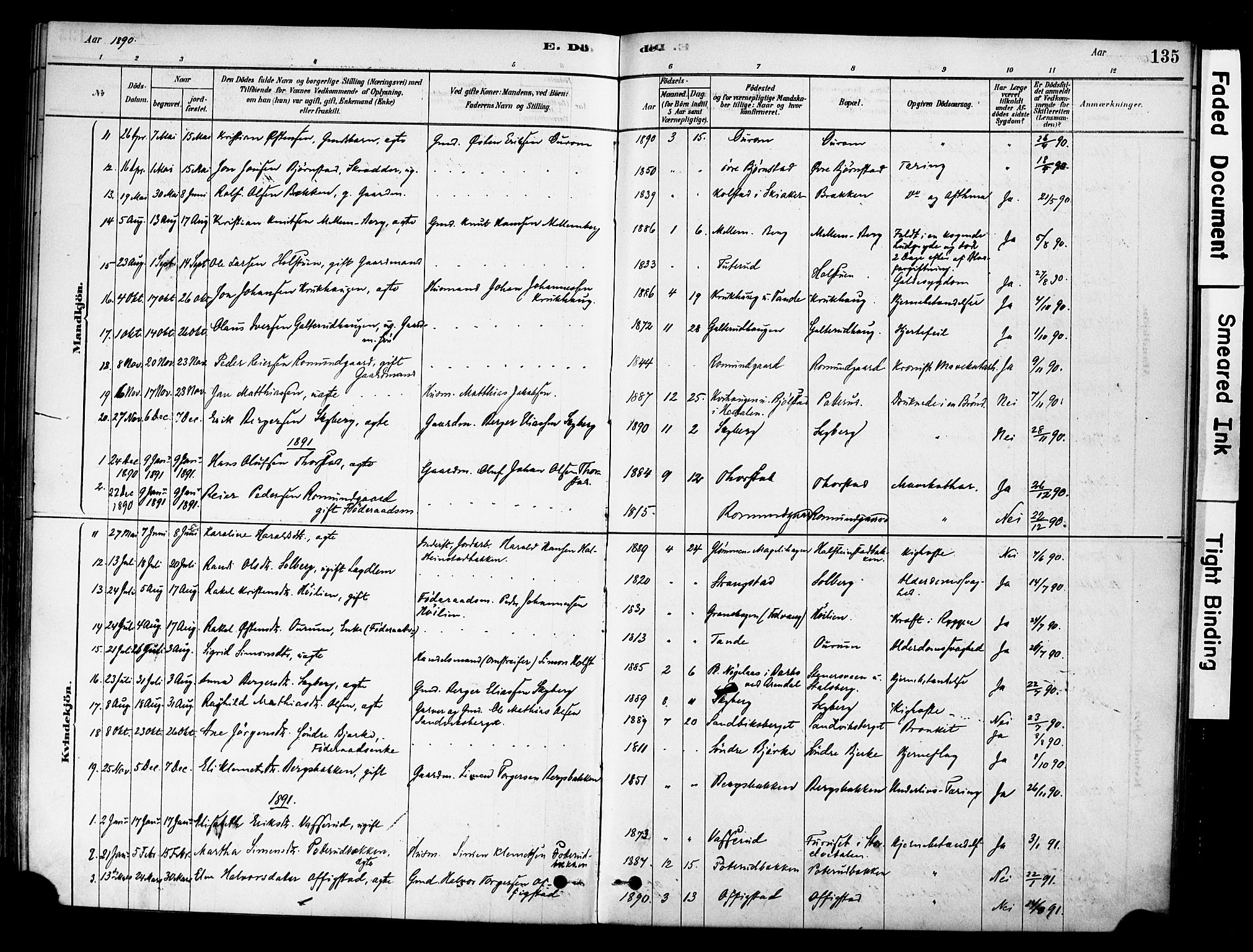 Øyer prestekontor, AV/SAH-PREST-084/H/Ha/Haa/L0009: Parish register (official) no. 9, 1878-1893, p. 135