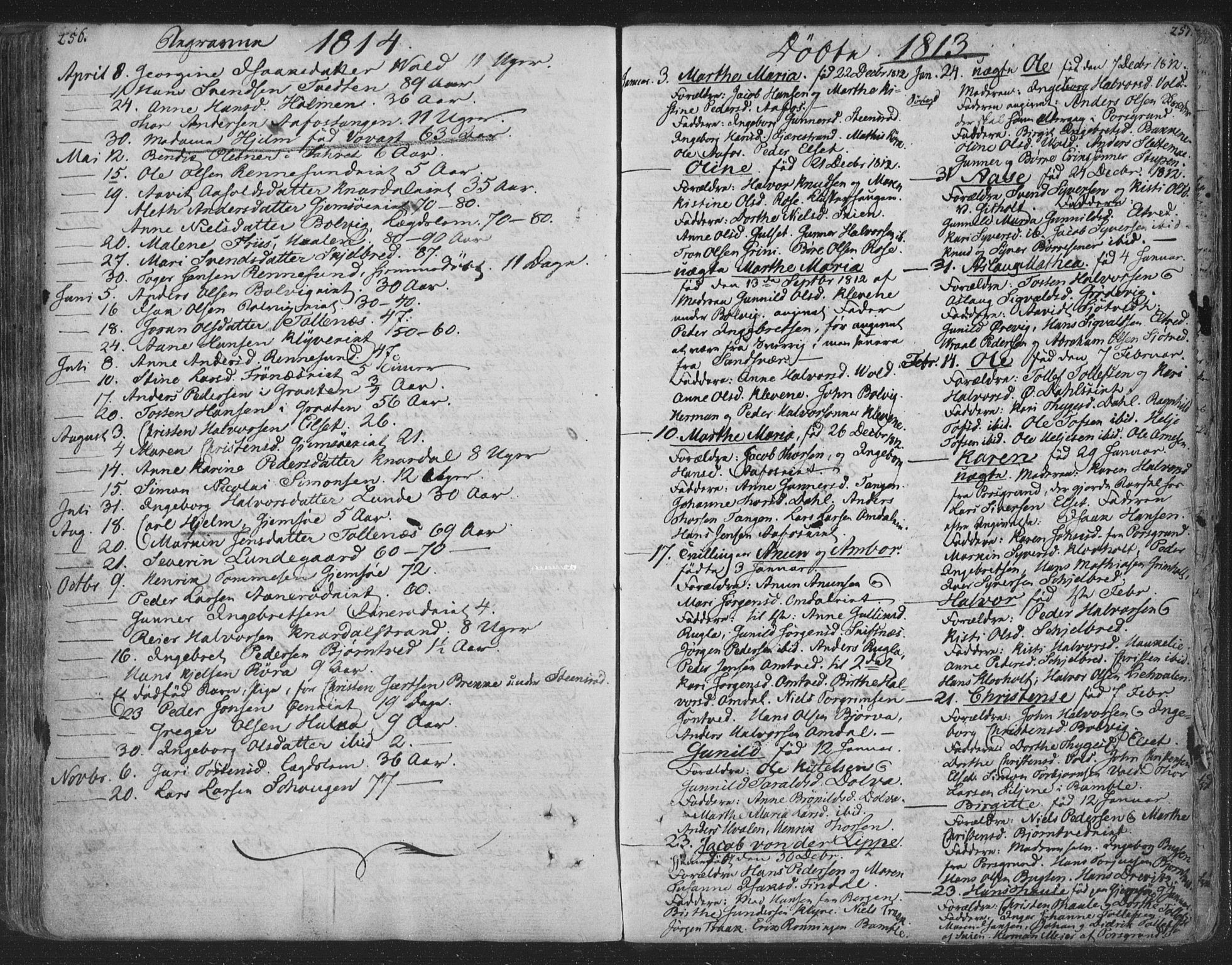 Solum kirkebøker, AV/SAKO-A-306/F/Fa/L0003: Parish register (official) no. I 3, 1761-1814, p. 256-257