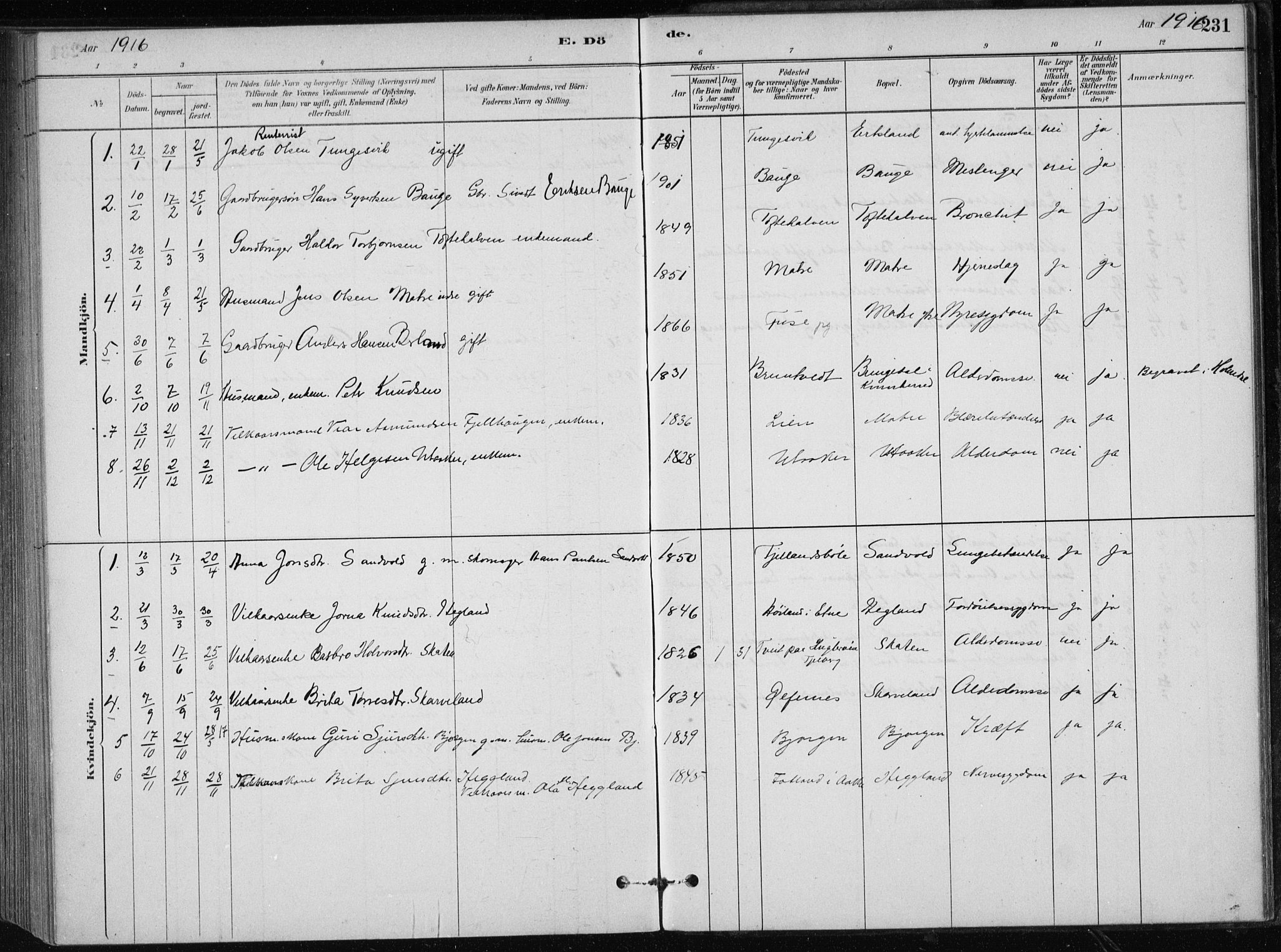 Skånevik sokneprestembete, AV/SAB-A-77801/H/Haa: Parish register (official) no. C  1, 1879-1917, p. 231