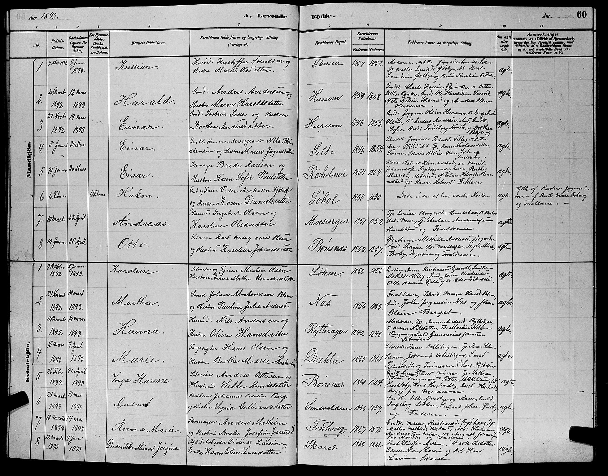Hole kirkebøker, SAKO/A-228/G/Ga/L0003: Parish register (copy) no. I 3, 1879-1904, p. 60