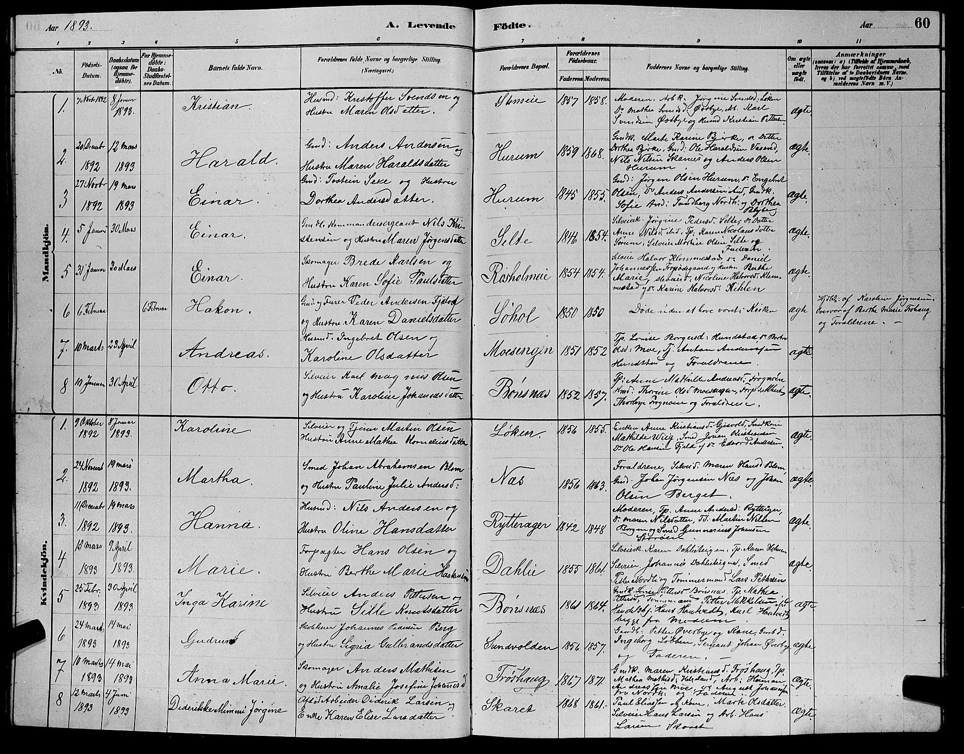 Hole kirkebøker, AV/SAKO-A-228/G/Ga/L0003: Parish register (copy) no. I 3, 1879-1904, p. 60