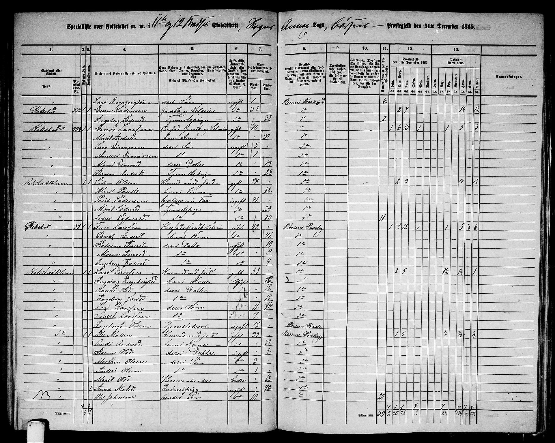 RA, 1865 census for Børsa, 1865, p. 117