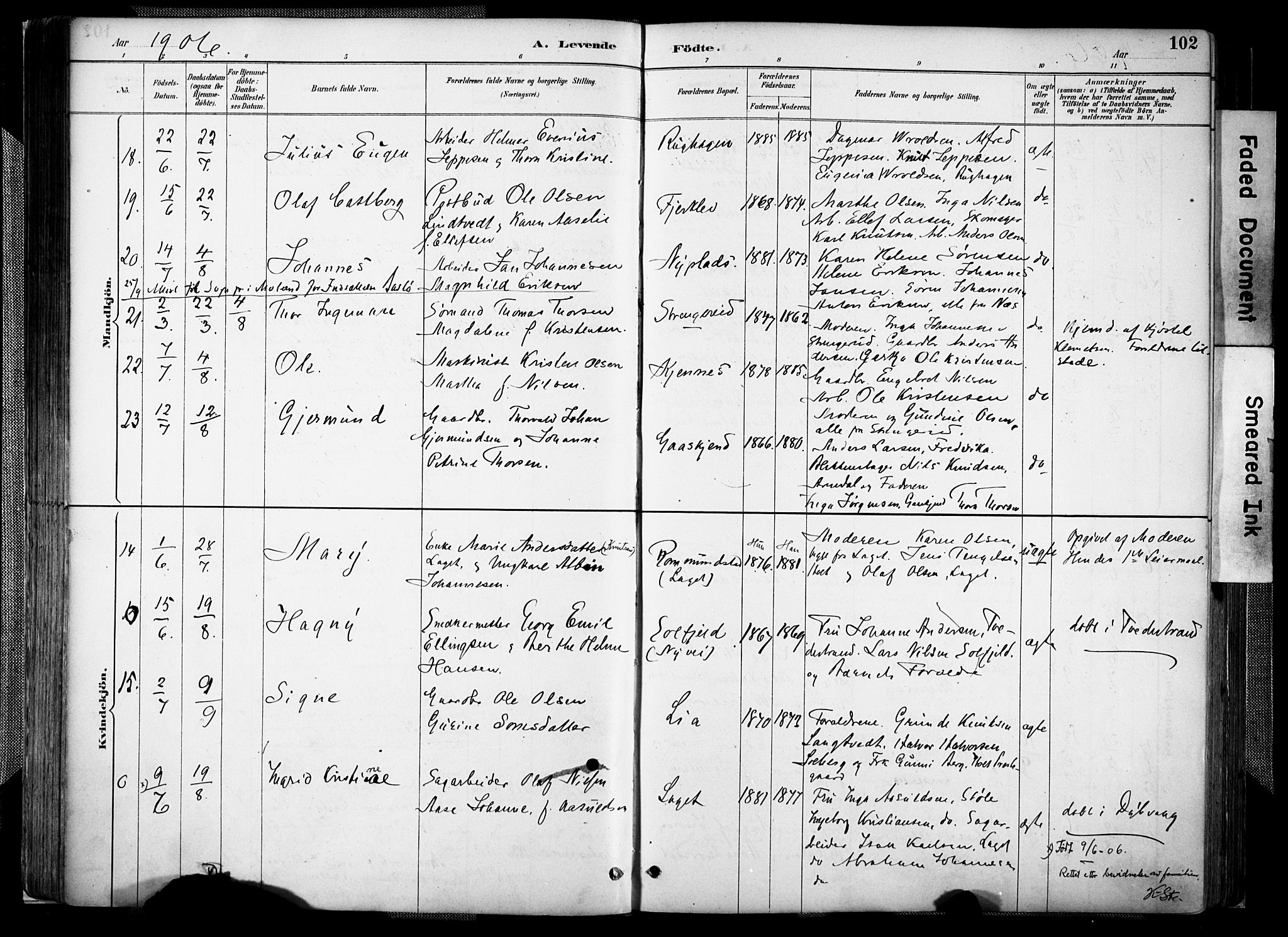 Holt sokneprestkontor, AV/SAK-1111-0021/F/Fa/L0012: Parish register (official) no. A 12, 1885-1907, p. 102