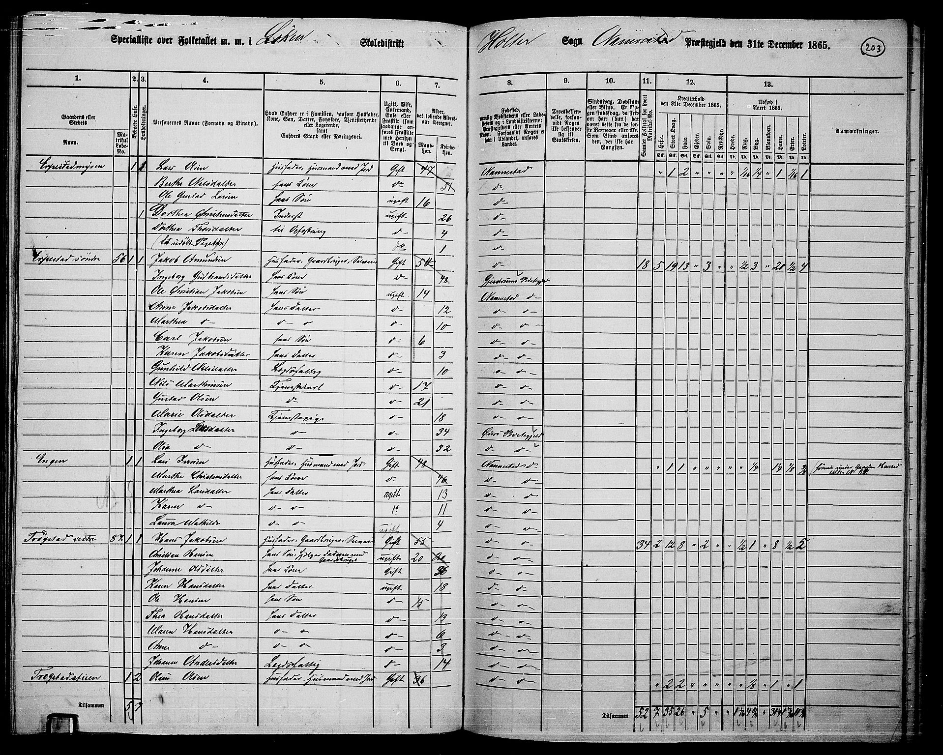 RA, 1865 census for Nannestad, 1865, p. 85