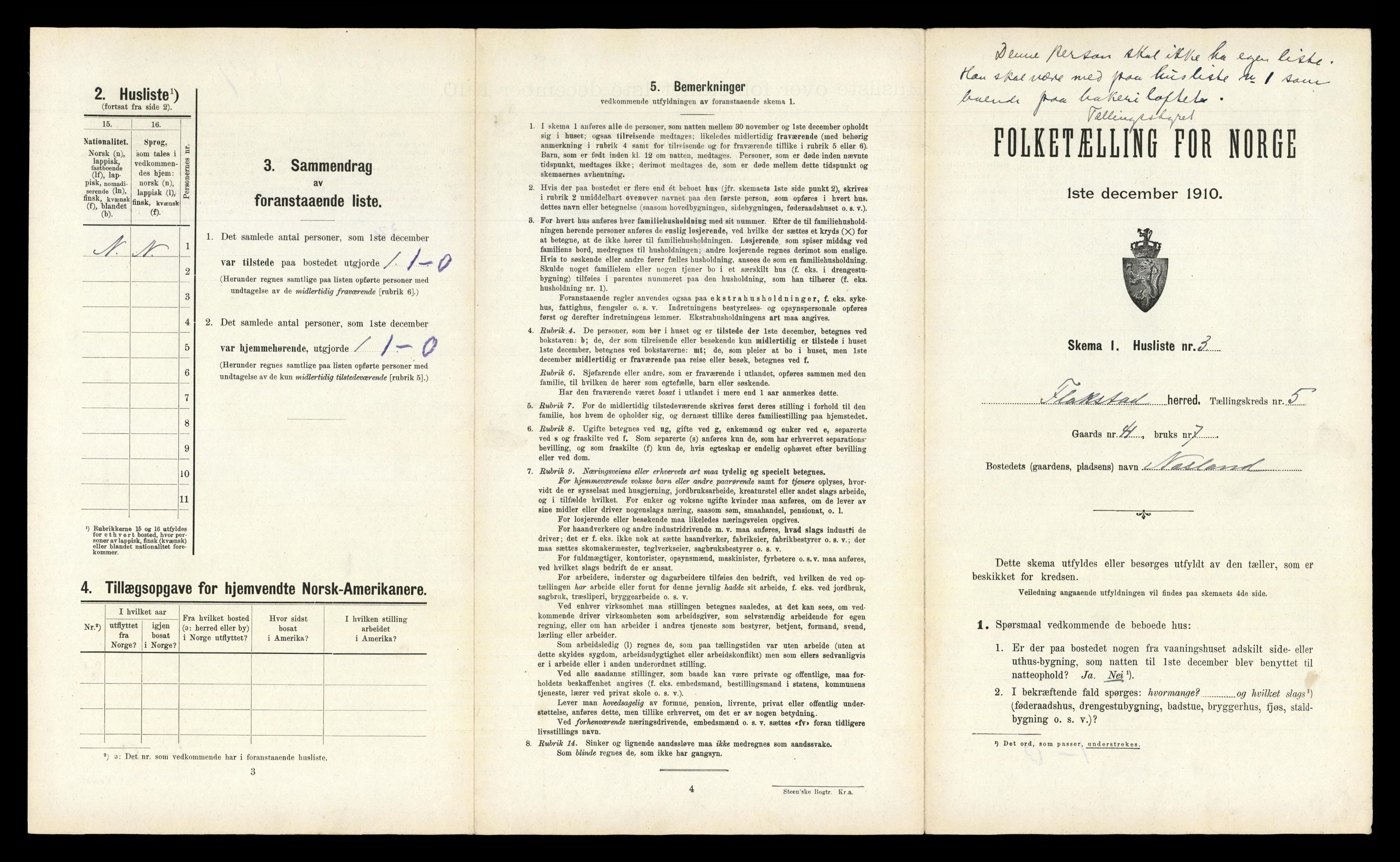 RA, 1910 census for Flakstad, 1910, p. 496