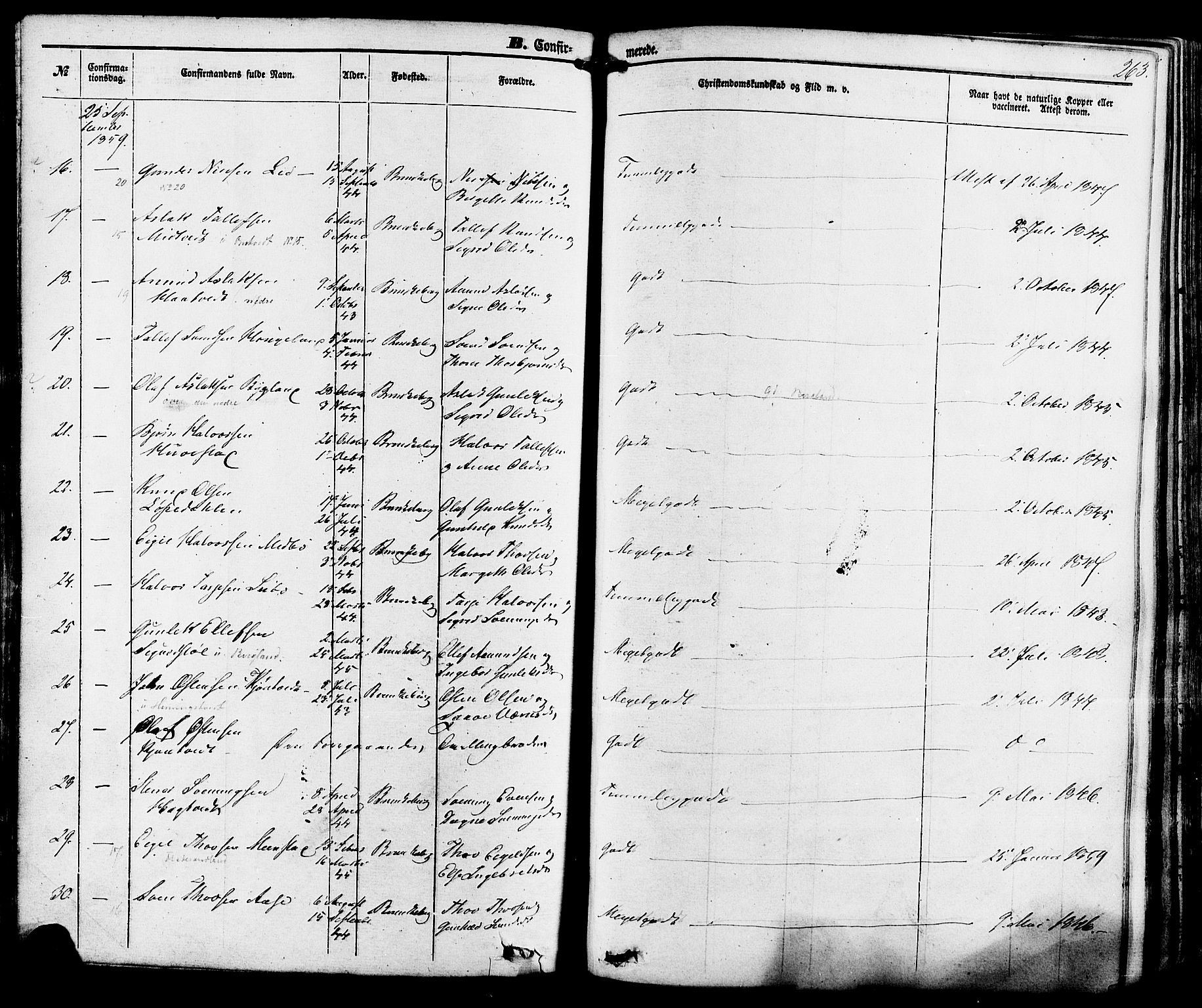 Kviteseid kirkebøker, SAKO/A-276/F/Fa/L0007: Parish register (official) no. I 7, 1859-1881, p. 263