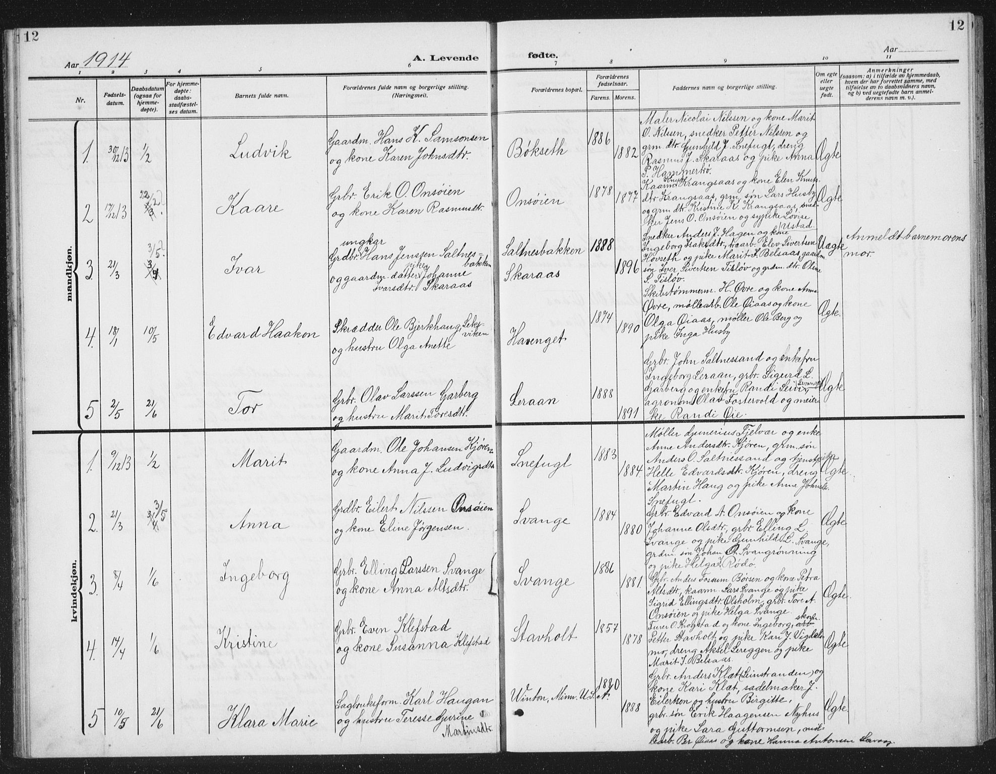 Ministerialprotokoller, klokkerbøker og fødselsregistre - Sør-Trøndelag, SAT/A-1456/666/L0791: Parish register (copy) no. 666C04, 1909-1939, p. 12