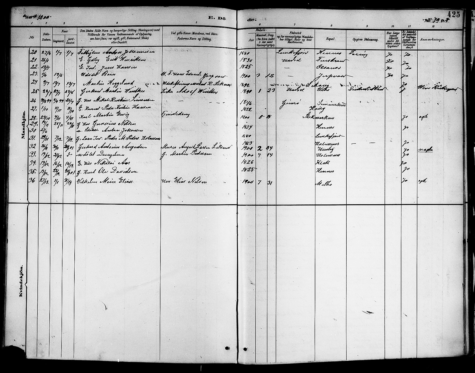 Ministerialprotokoller, klokkerbøker og fødselsregistre - Nordland, AV/SAT-A-1459/888/L1268: Parish register (copy) no. 888C06, 1891-1908, p. 425