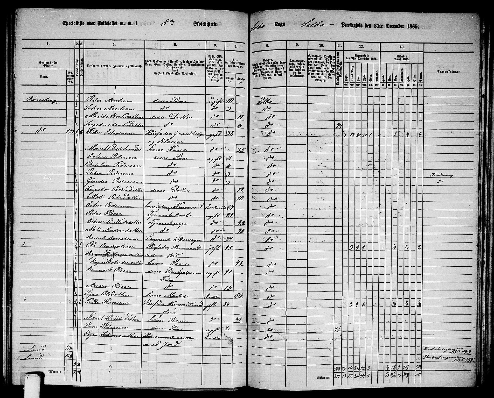 RA, 1865 census for Selbu, 1865, p. 141