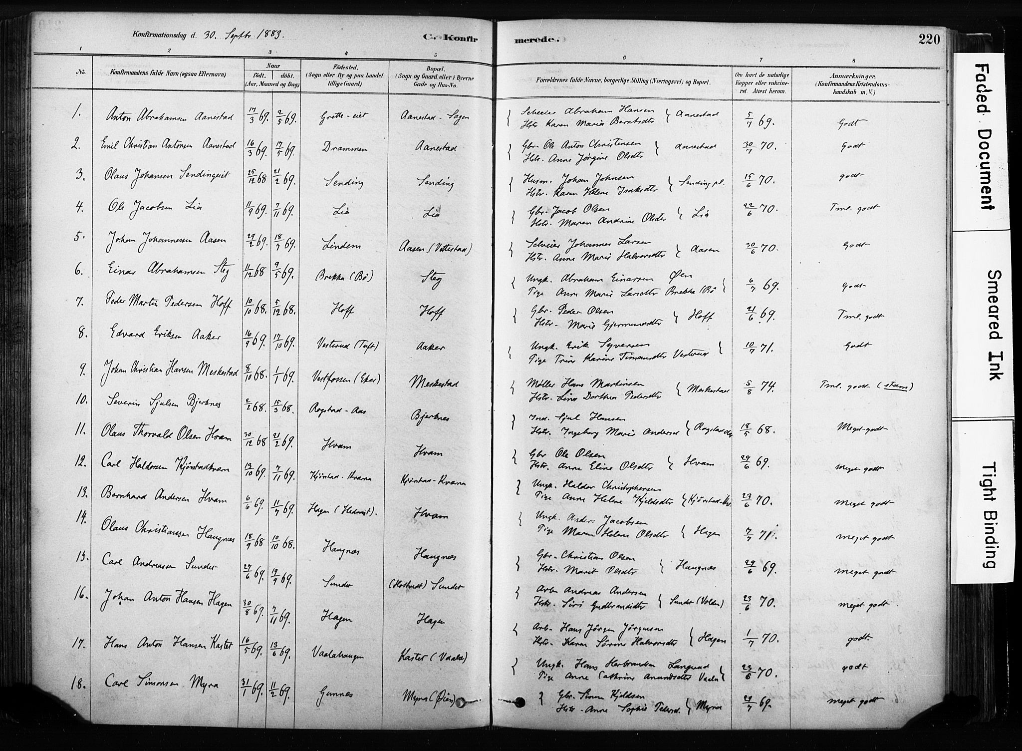 Sandsvær kirkebøker, SAKO/A-244/F/Fb/L0001: Parish register (official) no. II 1, 1878-1906, p. 220