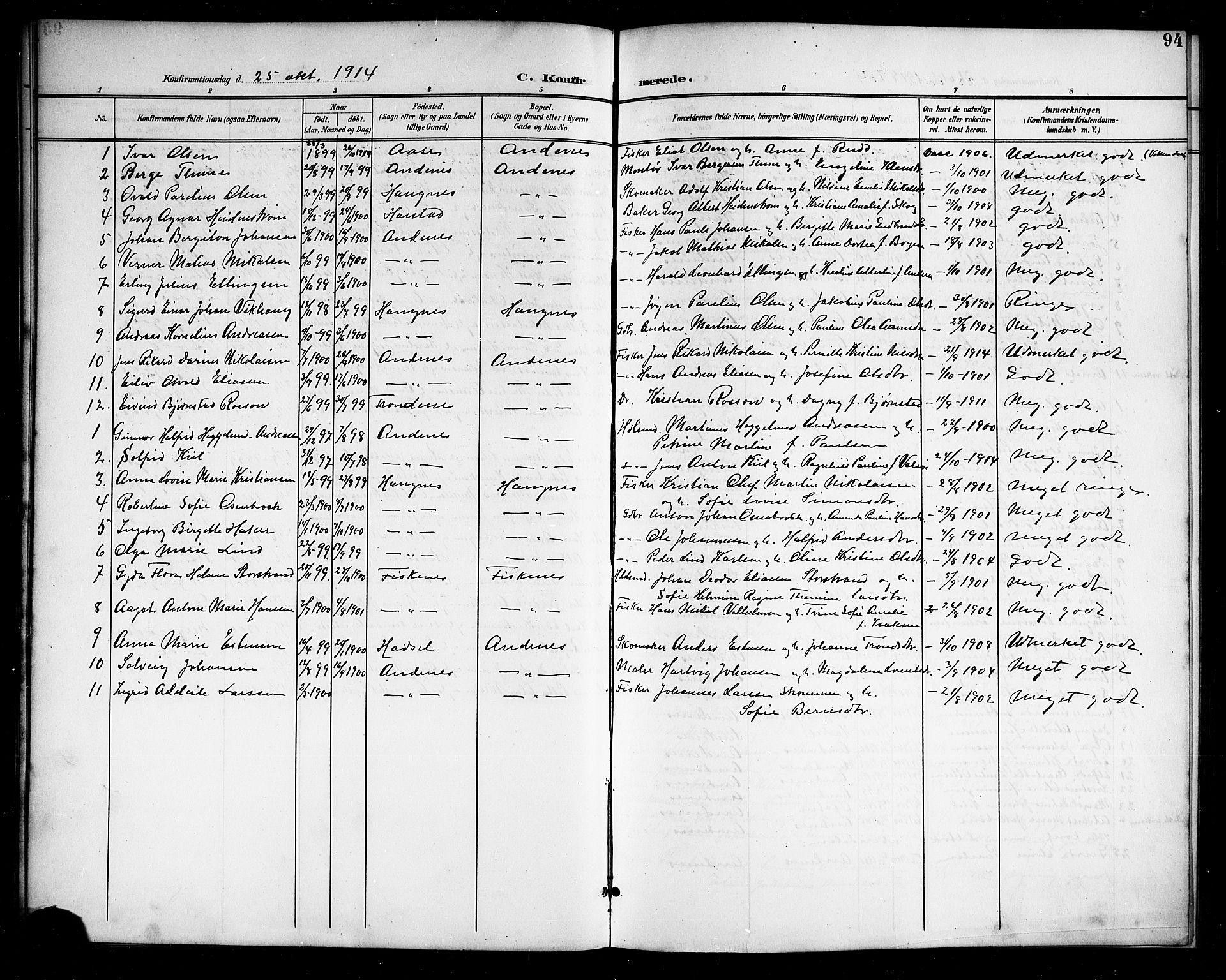 Ministerialprotokoller, klokkerbøker og fødselsregistre - Nordland, AV/SAT-A-1459/899/L1449: Parish register (copy) no. 899C04, 1900-1918, p. 94