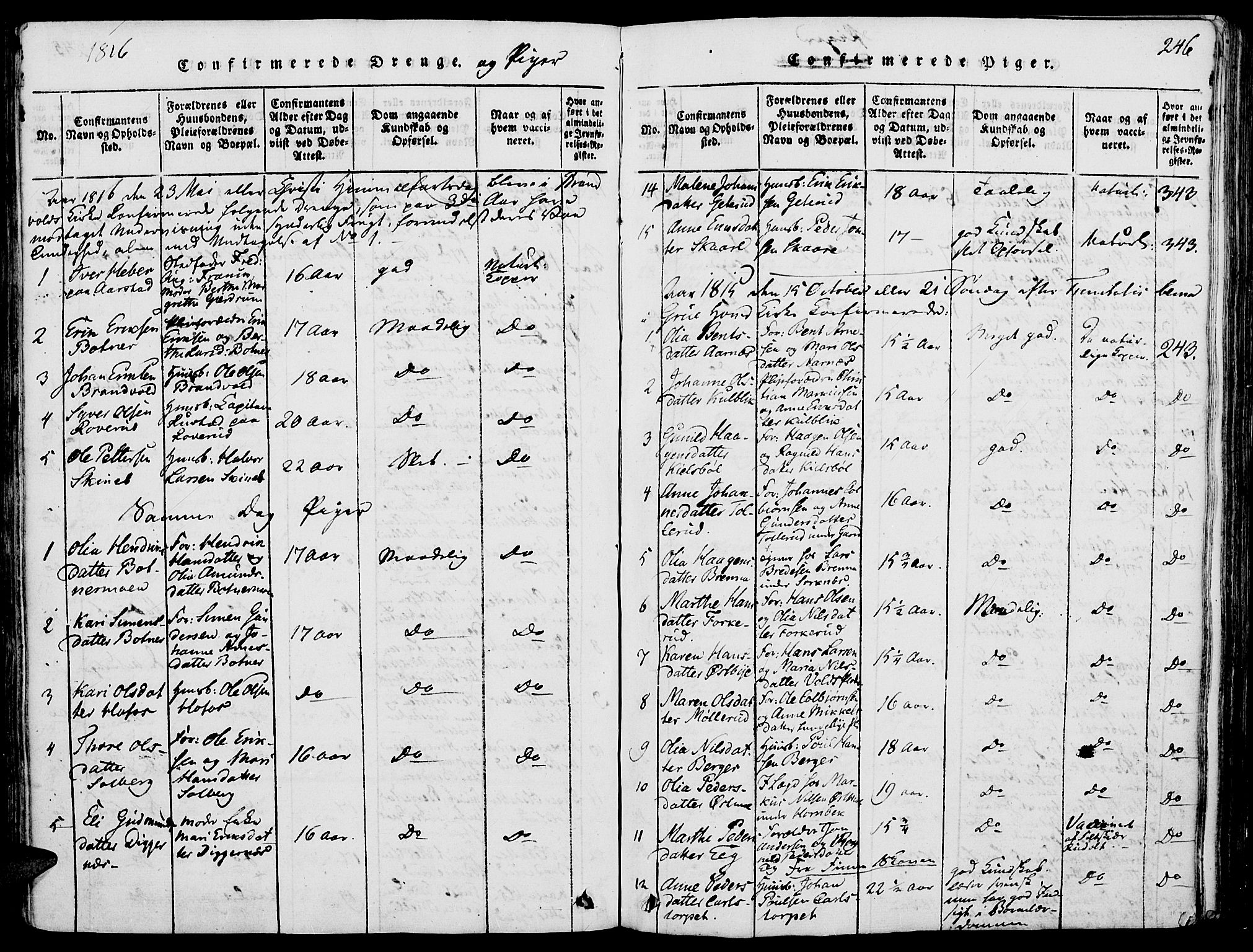 Grue prestekontor, SAH/PREST-036/H/Ha/Haa/L0006: Parish register (official) no. 6, 1814-1830, p. 246