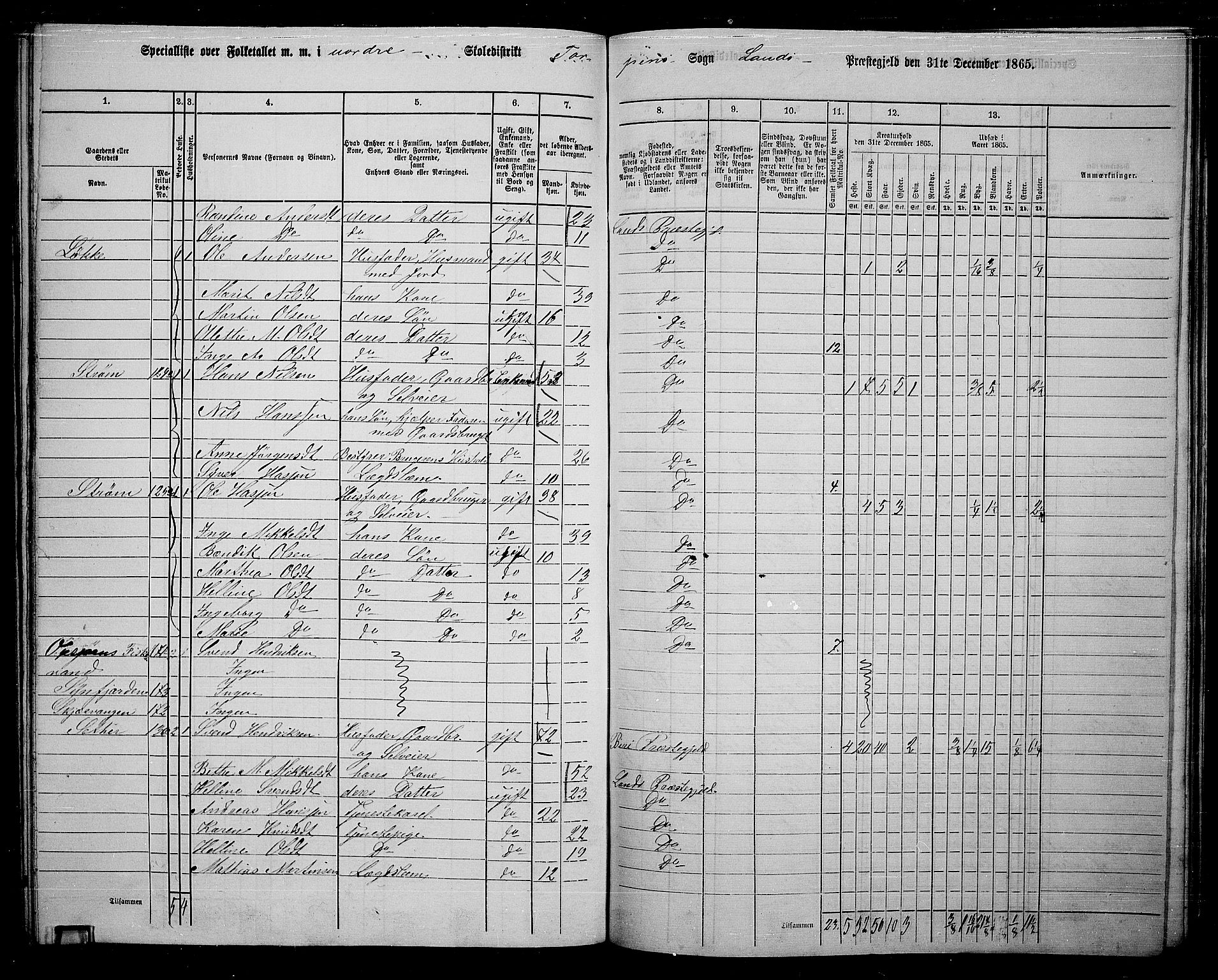 RA, 1865 census for Land, 1865, p. 145