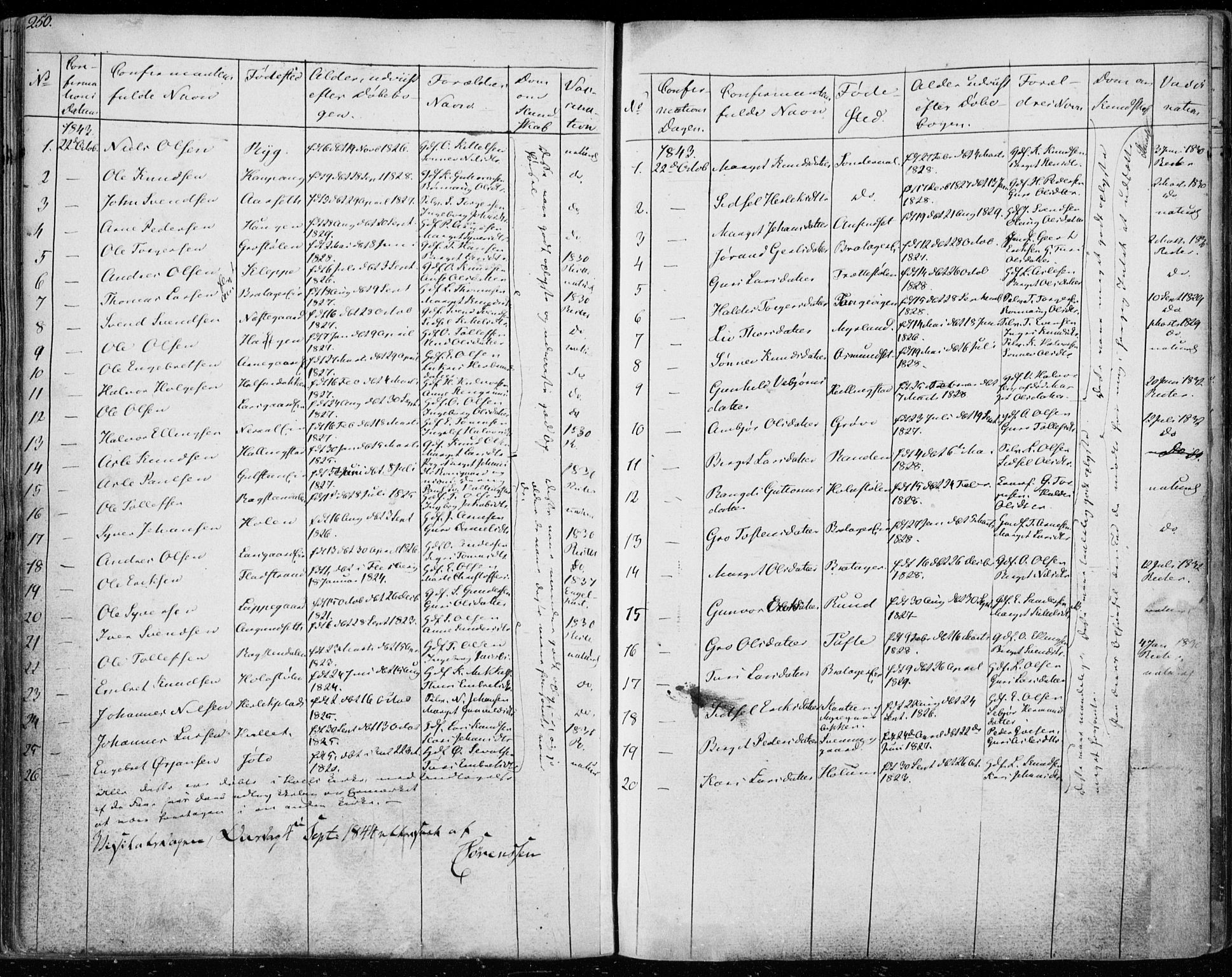 Ål kirkebøker, SAKO/A-249/F/Fa/L0005: Parish register (official) no. I 5, 1825-1848, p. 250