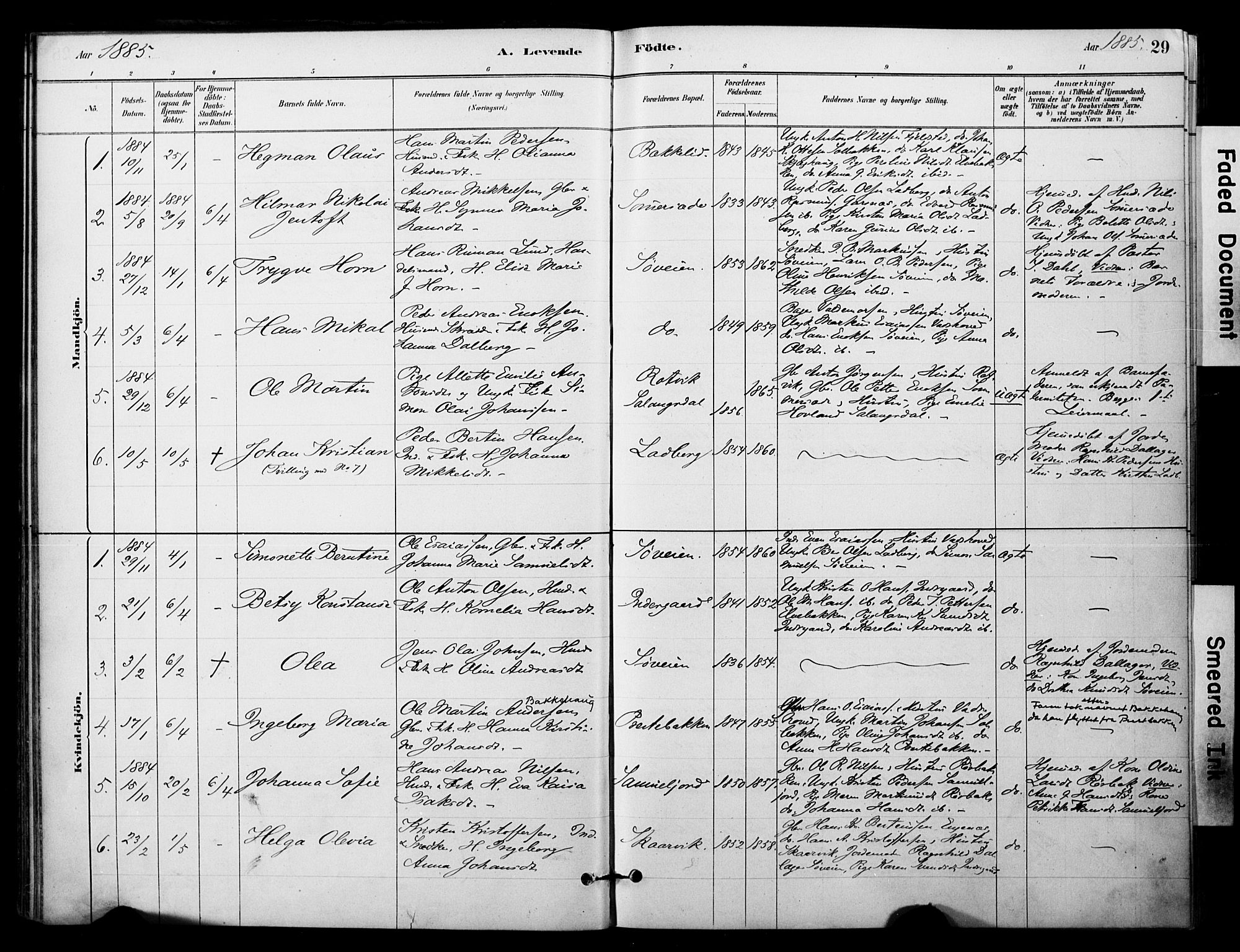 Ibestad sokneprestembete, AV/SATØ-S-0077/H/Ha/Haa/L0014kirke: Parish register (official) no. 14, 1880-1887, p. 29