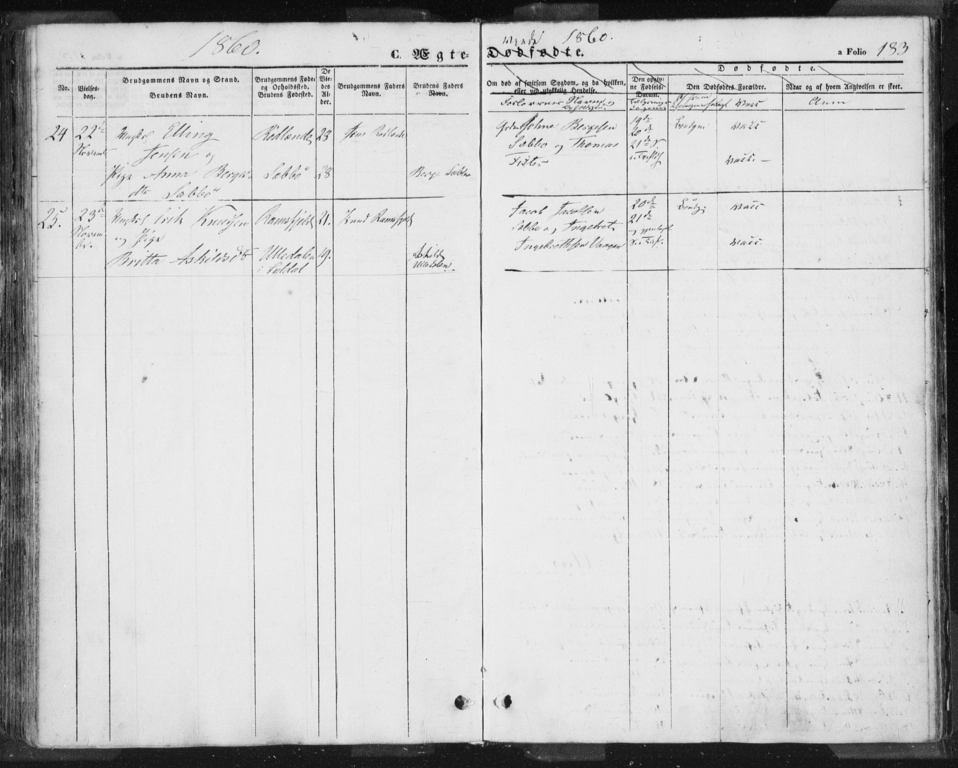 Hjelmeland sokneprestkontor, SAST/A-101843/01/IV/L0009: Parish register (official) no. A 9, 1846-1860, p. 183