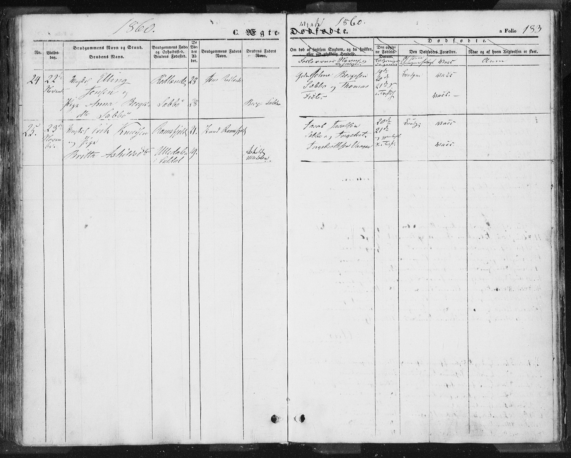 Hjelmeland sokneprestkontor, AV/SAST-A-101843/01/IV/L0009: Parish register (official) no. A 9, 1846-1860, p. 183