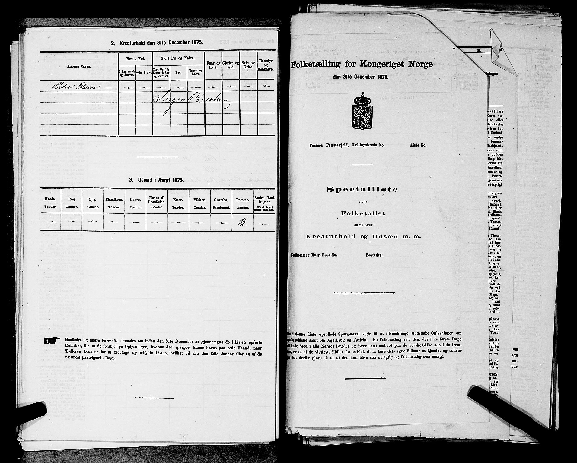 RA, 1875 census for 0125P Eidsberg, 1875, p. 411