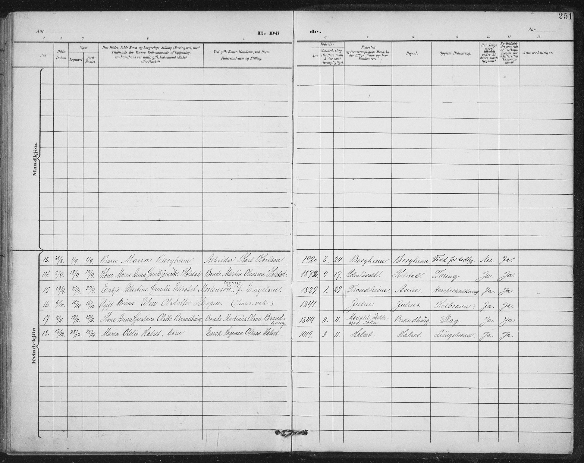 Ministerialprotokoller, klokkerbøker og fødselsregistre - Nord-Trøndelag, SAT/A-1458/724/L0269: Parish register (copy) no. 724C05, 1899-1920, p. 251