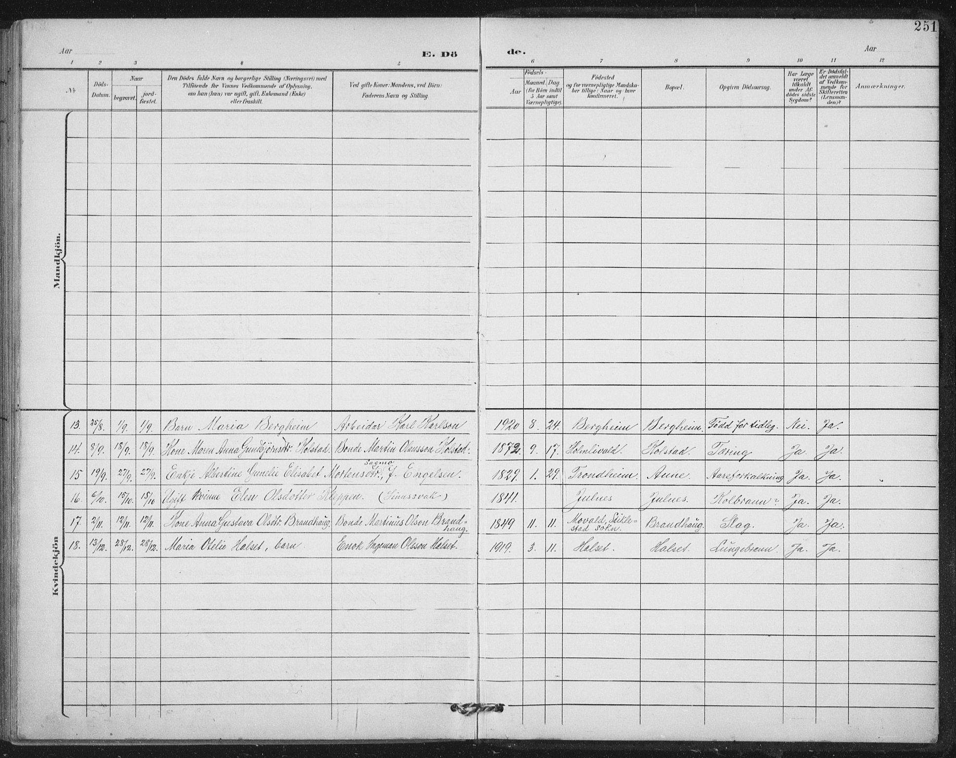 Ministerialprotokoller, klokkerbøker og fødselsregistre - Nord-Trøndelag, AV/SAT-A-1458/724/L0269: Parish register (copy) no. 724C05, 1899-1920, p. 251