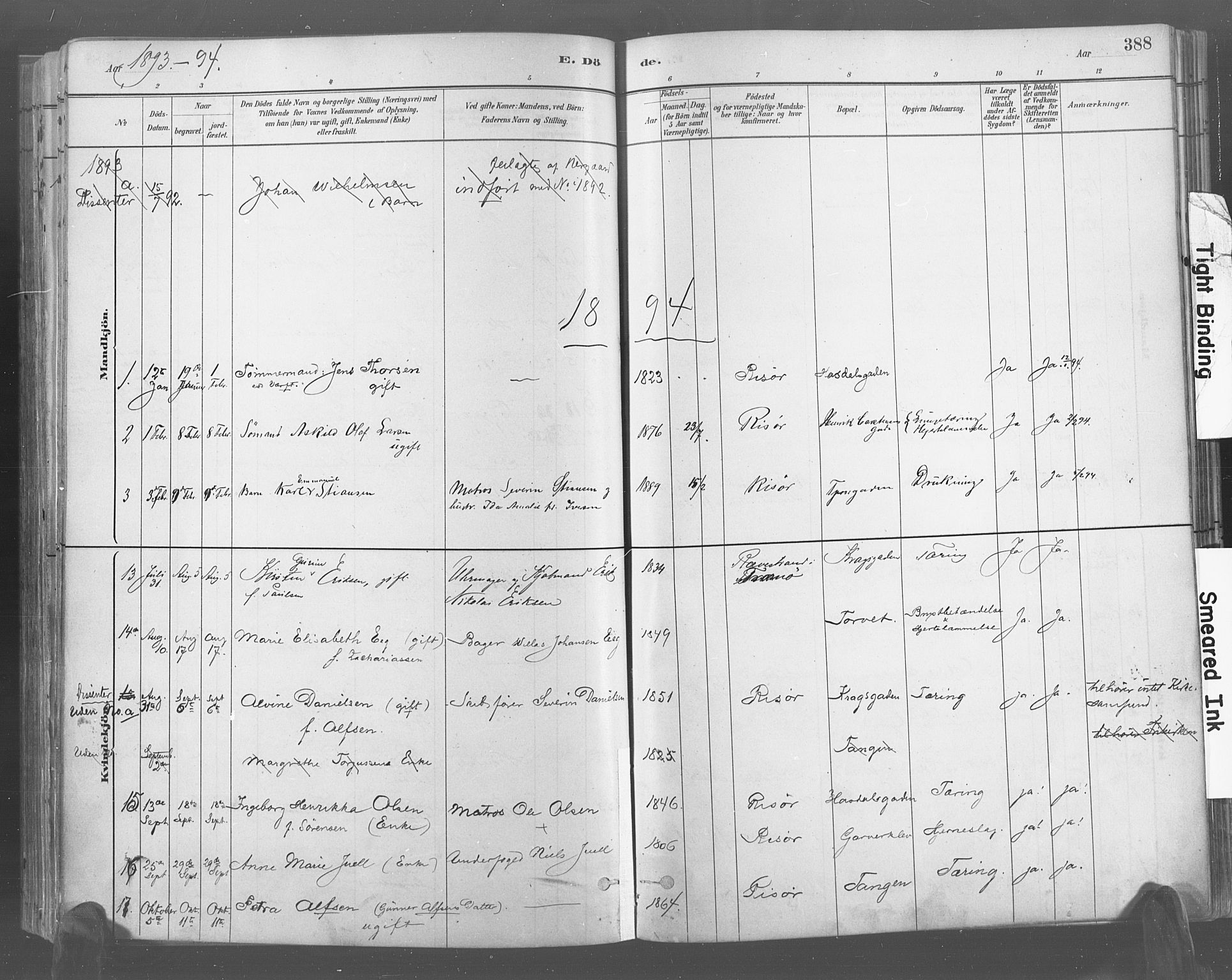 Risør sokneprestkontor, AV/SAK-1111-0035/F/Fa/L0005: Parish register (official) no. A 5, 1883-1895, p. 388