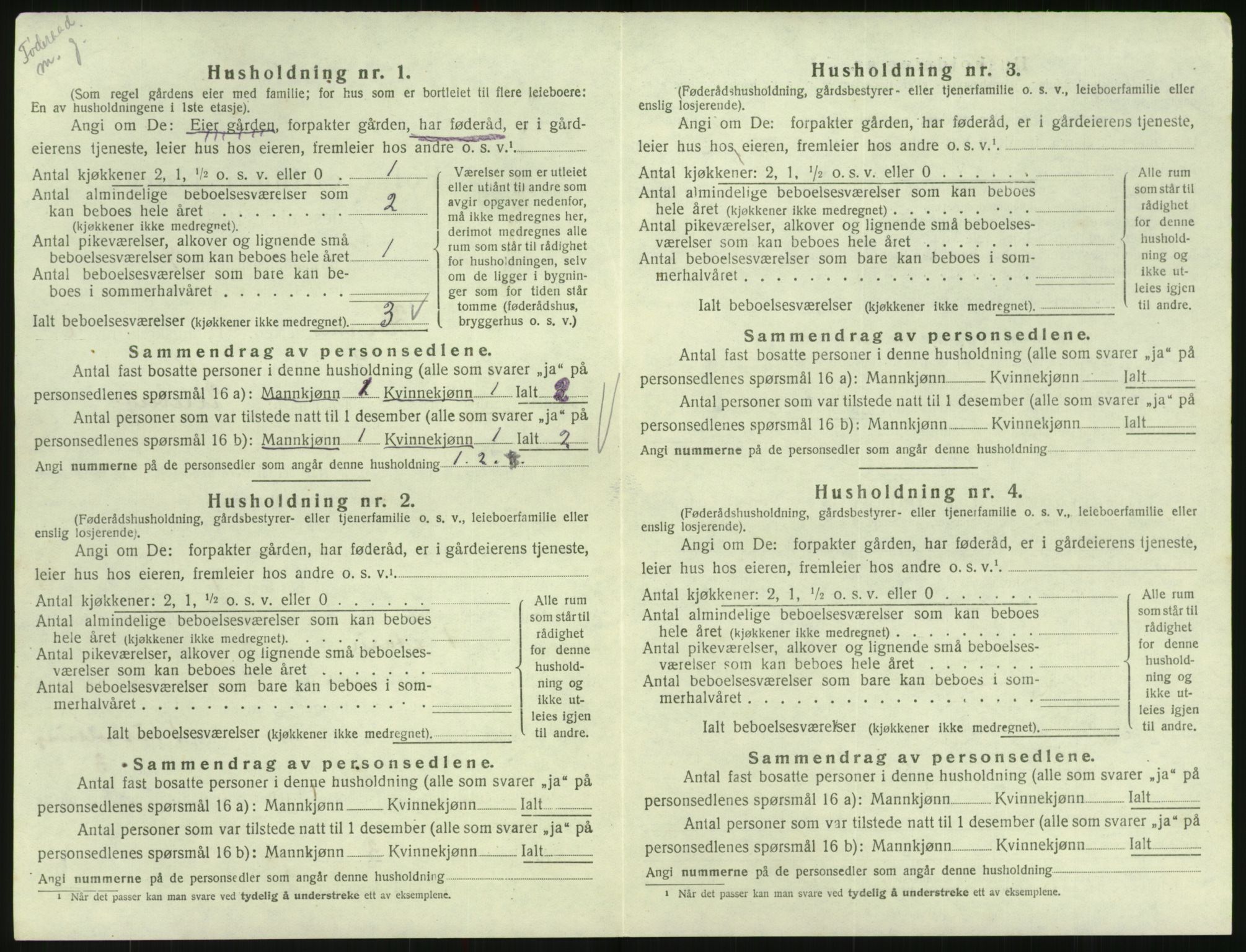 SAK, 1920 census for Hornnes, 1920, p. 258