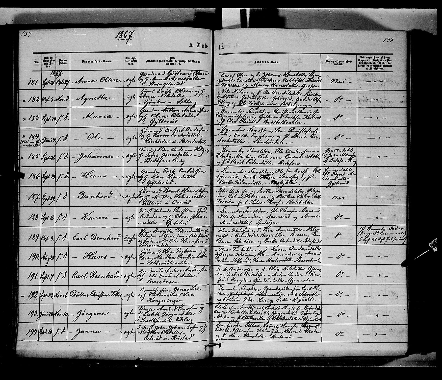 Vinger prestekontor, SAH/PREST-024/H/Ha/Haa/L0011: Parish register (official) no. 11, 1862-1870, p. 138