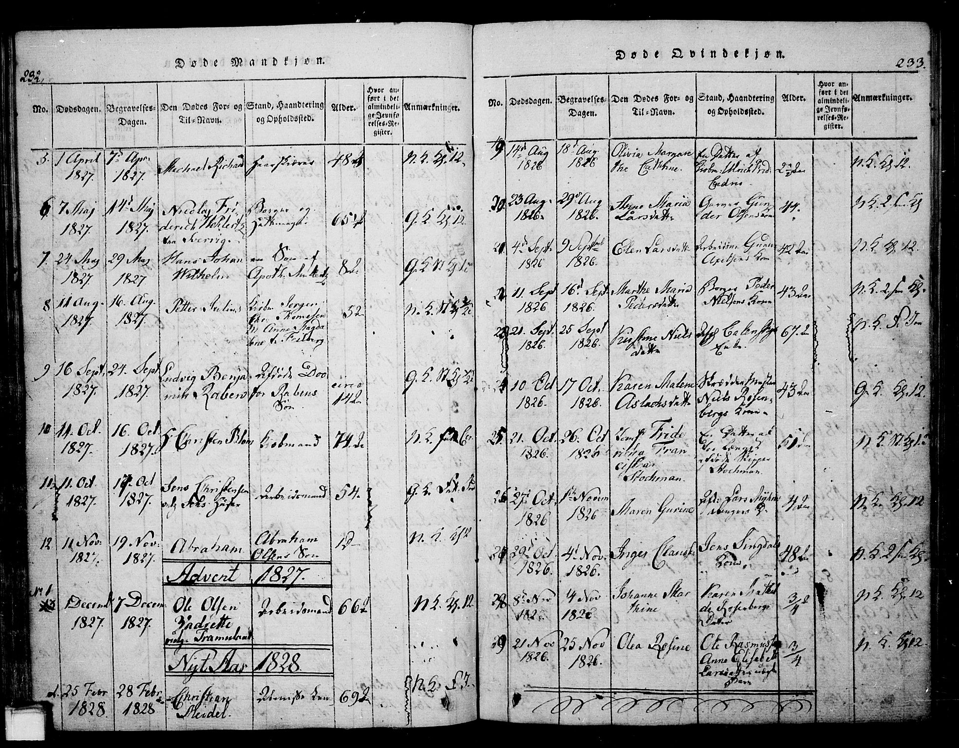 Skien kirkebøker, SAKO/A-302/G/Ga/L0002: Parish register (copy) no. 2, 1814-1842, p. 232-233