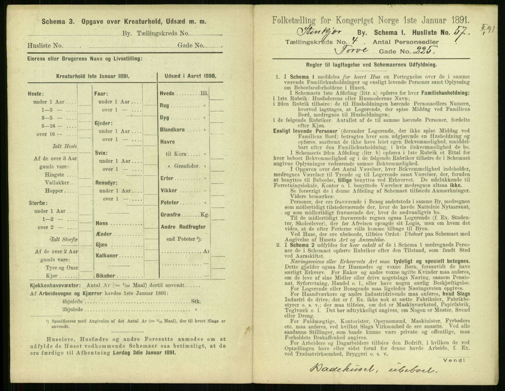 RA, 1891 census for 1702 Steinkjer, 1891, p. 1261