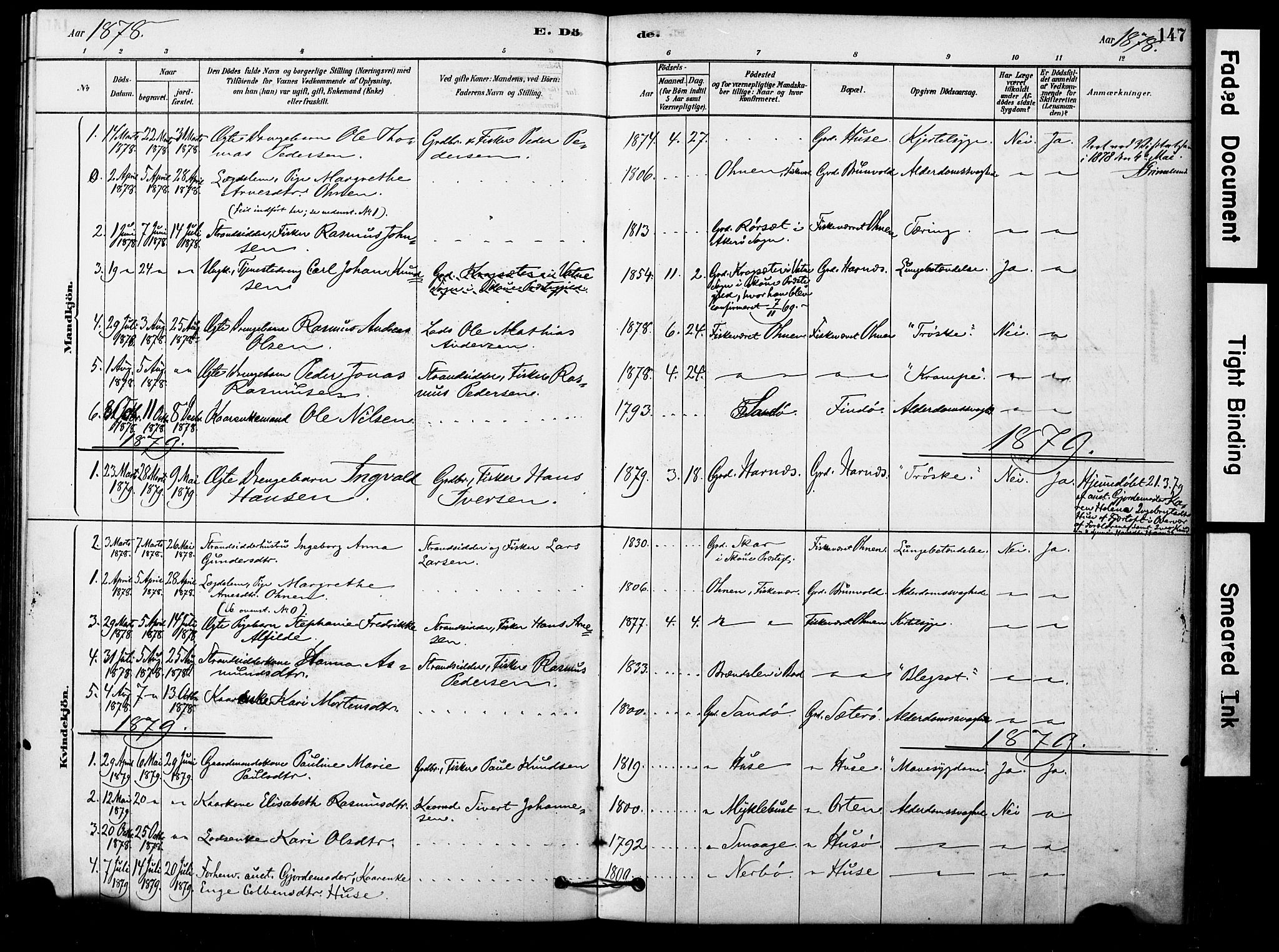 Ministerialprotokoller, klokkerbøker og fødselsregistre - Møre og Romsdal, AV/SAT-A-1454/561/L0729: Parish register (official) no. 561A03, 1878-1900, p. 147