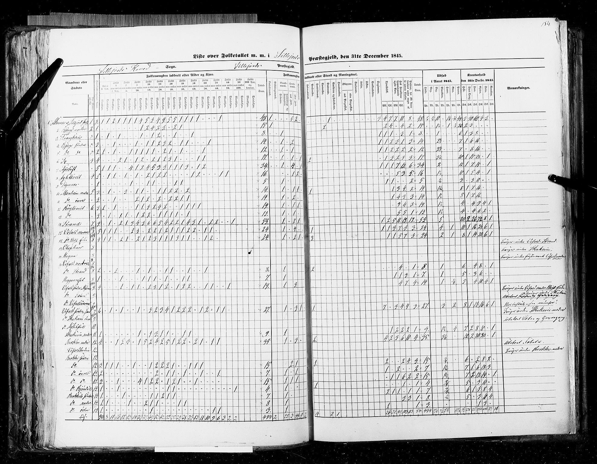 RA, Census 1845, vol. 5: Bratsberg amt og Nedenes og Råbyggelaget amt, 1845, p. 154