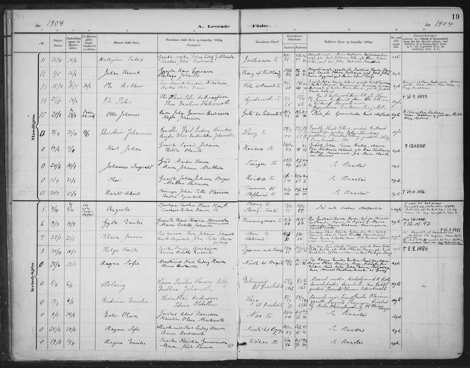 Trøgstad prestekontor Kirkebøker, AV/SAO-A-10925/F/Fa/L0011: Parish register (official) no. I 11, 1899-1919, p. 19