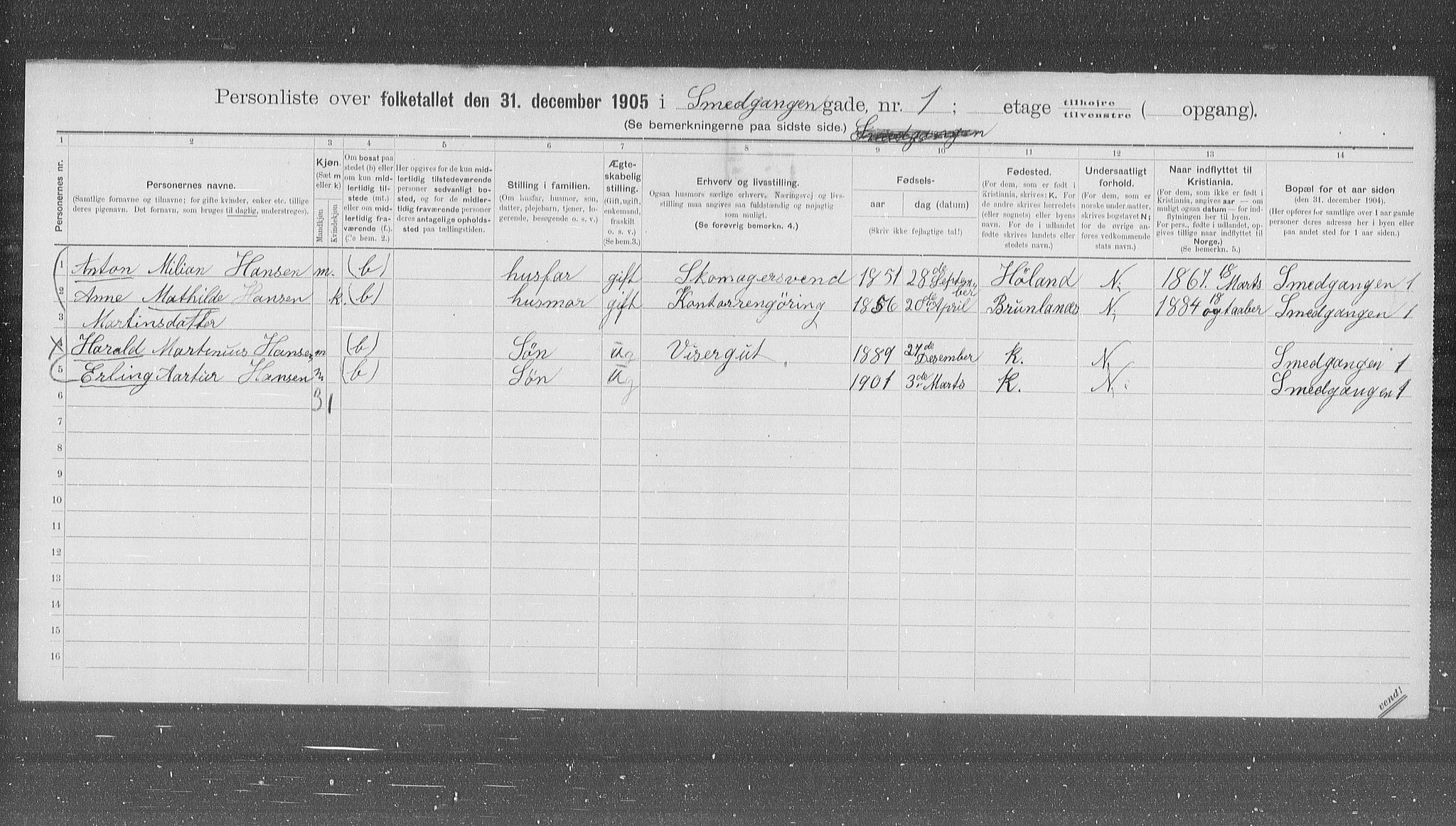 OBA, Municipal Census 1905 for Kristiania, 1905, p. 50689