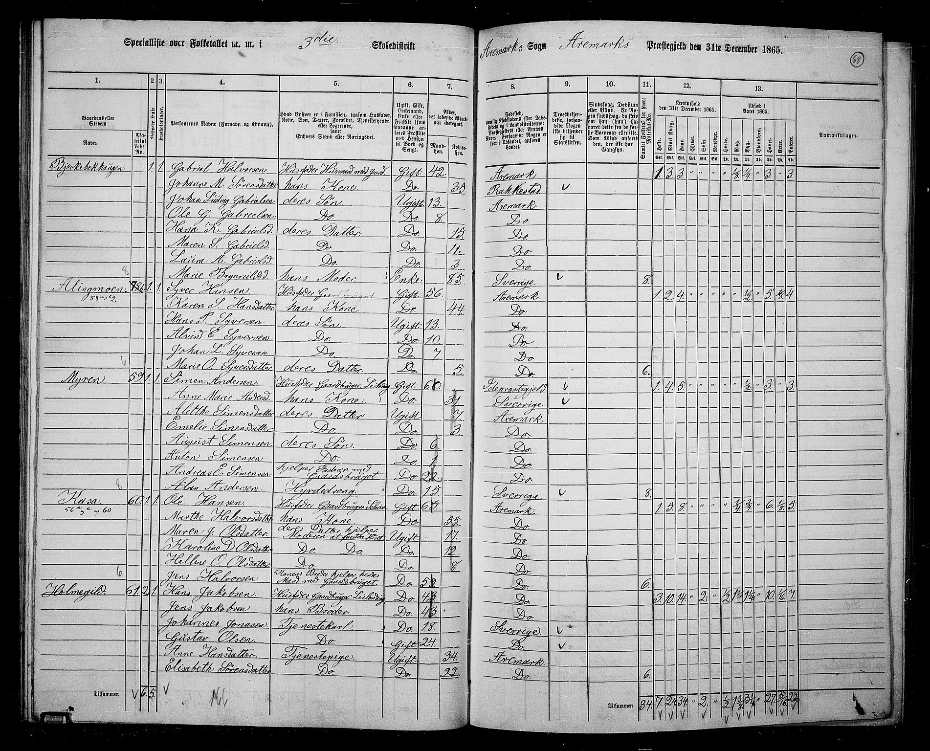 RA, 1865 census for Aremark, 1865, p. 63