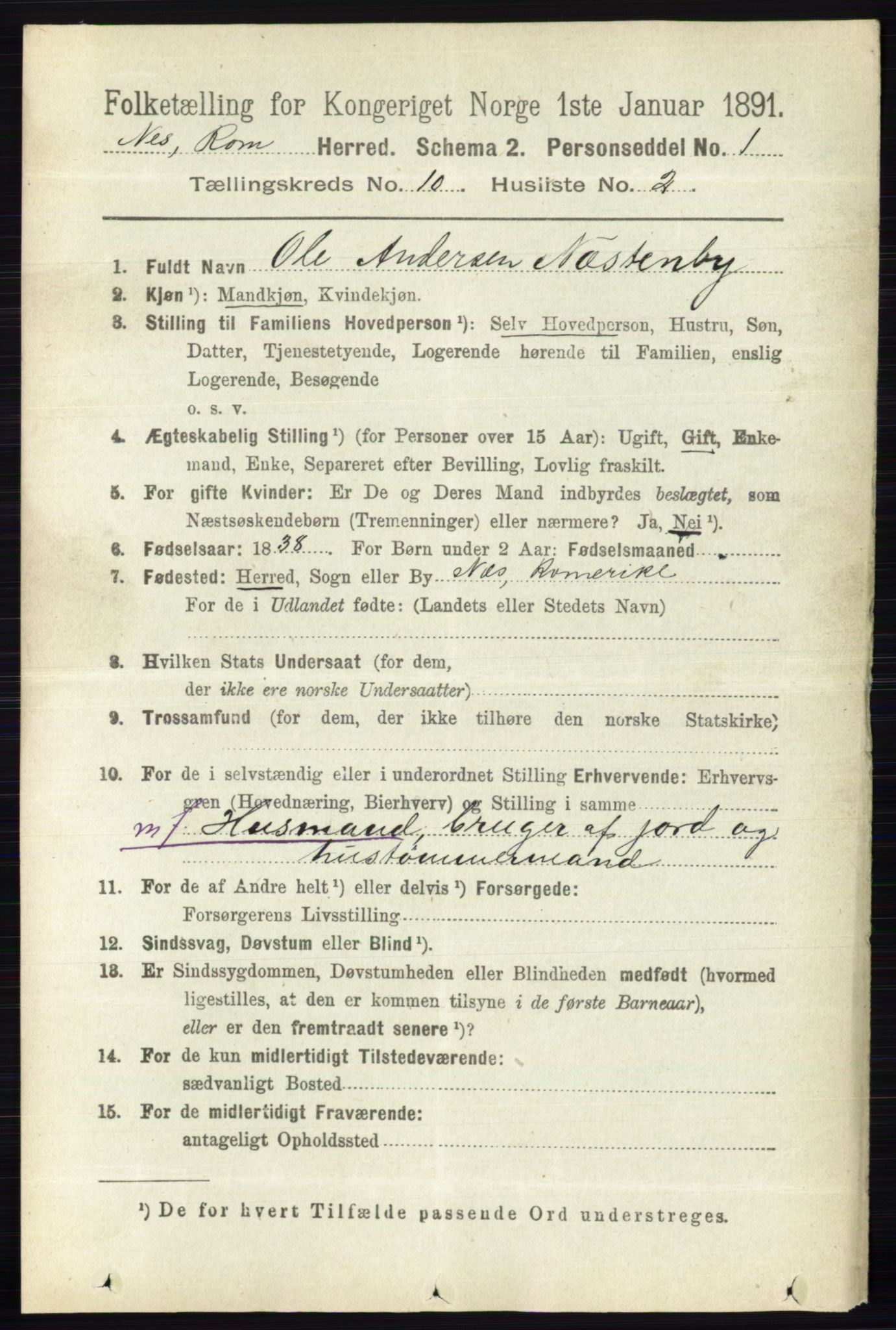 RA, 1891 census for 0236 Nes, 1891, p. 5810
