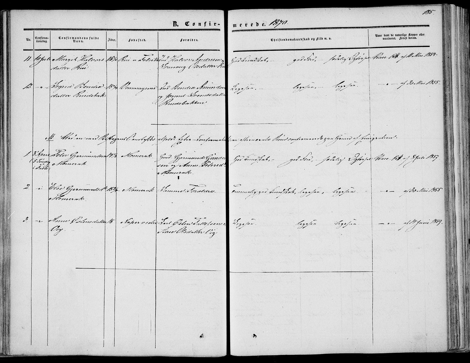 Fyresdal kirkebøker, SAKO/A-263/F/Fa/L0005: Parish register (official) no. I 5, 1855-1871, p. 185
