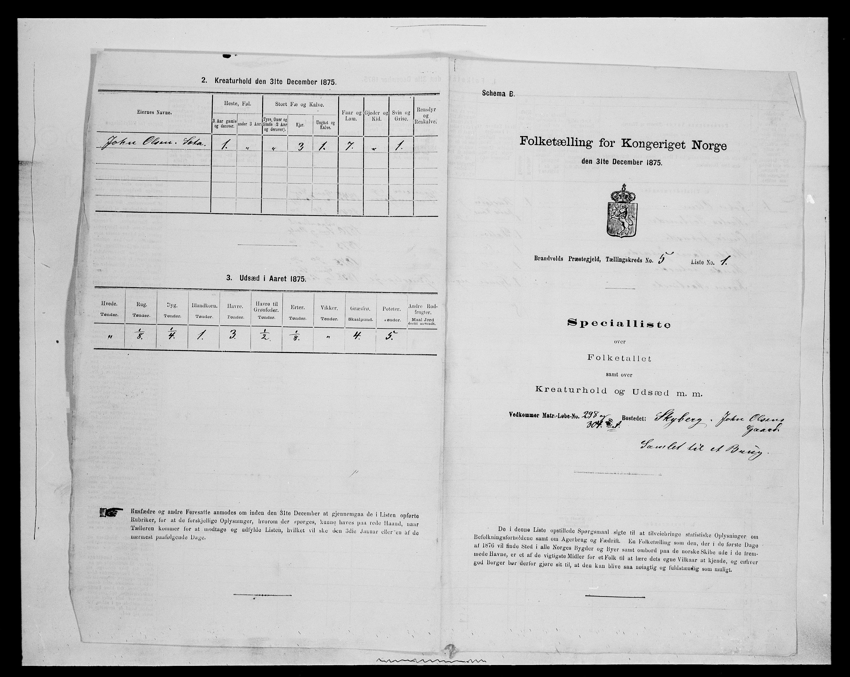 SAH, 1875 census for 0422P Brandval, 1875, p. 723