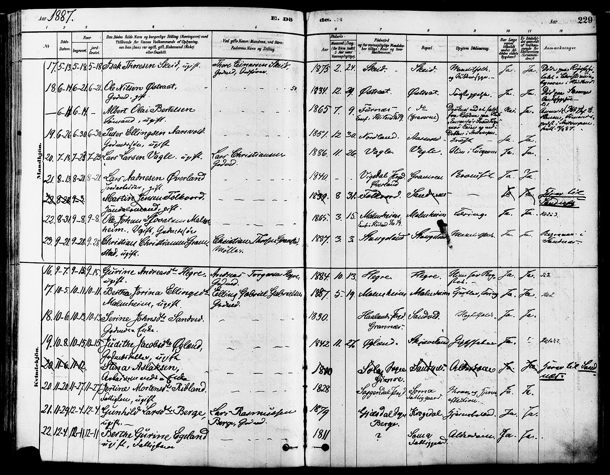 Høyland sokneprestkontor, AV/SAST-A-101799/001/30BA/L0011: Parish register (official) no. A 10, 1878-1888, p. 229