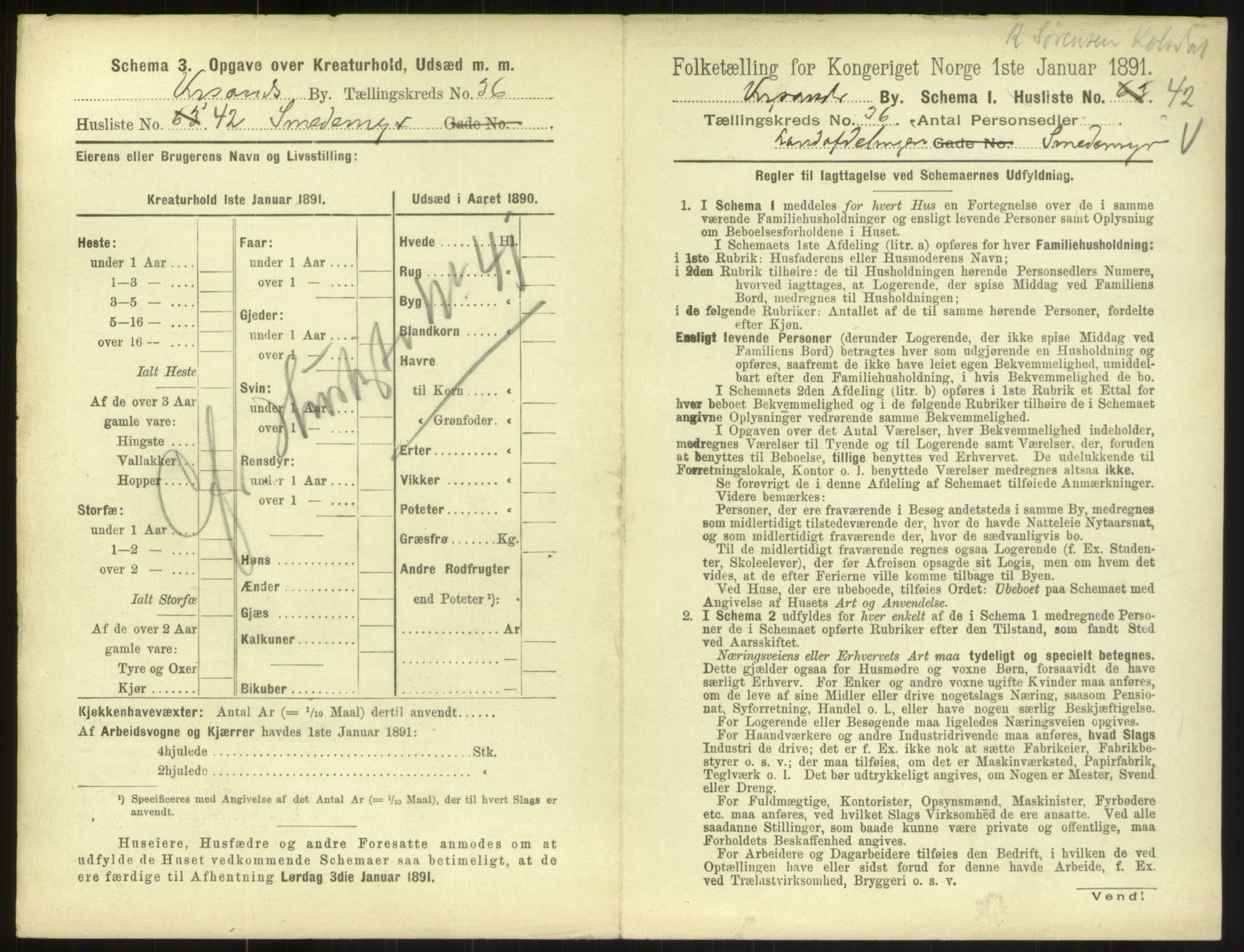 RA, 1891 census for 1001 Kristiansand, 1891, p. 1964