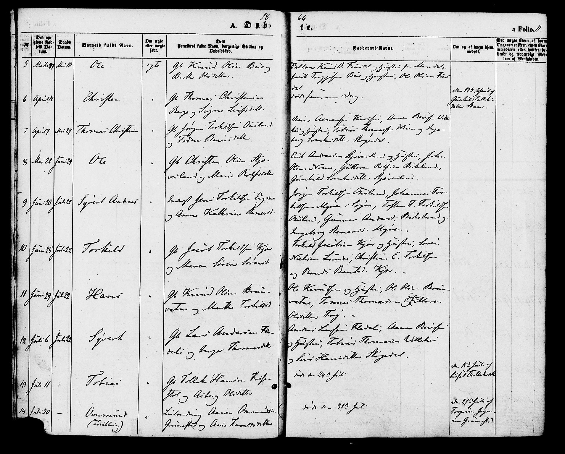 Holum sokneprestkontor, AV/SAK-1111-0022/F/Fa/Fac/L0003: Parish register (official) no. A 3, 1860-1883, p. 11