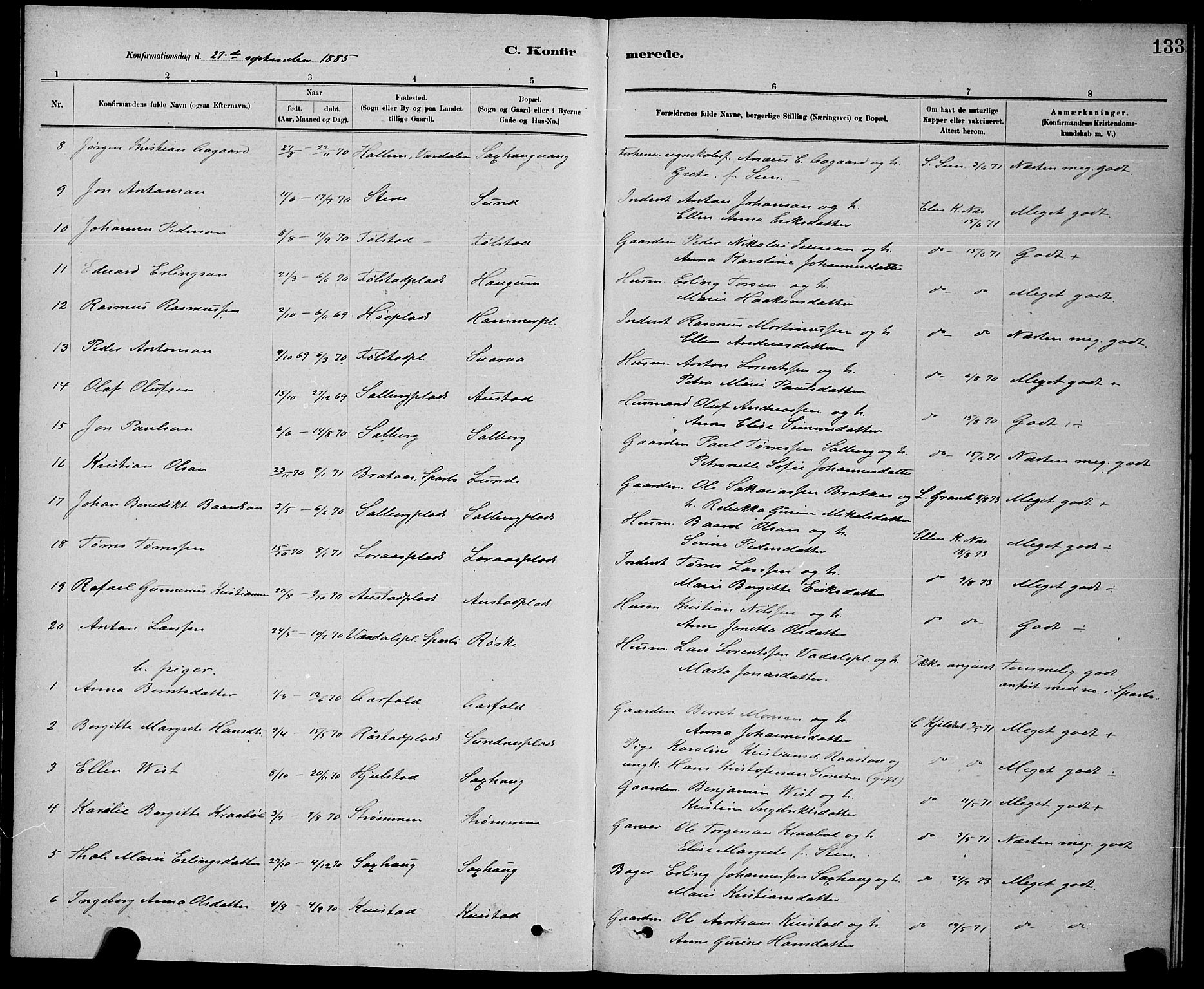 Ministerialprotokoller, klokkerbøker og fødselsregistre - Nord-Trøndelag, SAT/A-1458/730/L0301: Parish register (copy) no. 730C04, 1880-1897, p. 133