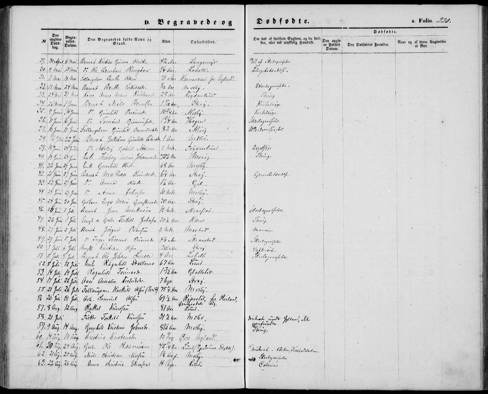 Oddernes sokneprestkontor, SAK/1111-0033/F/Fb/Fba/L0007: Parish register (copy) no. B 7, 1869-1887, p. 220