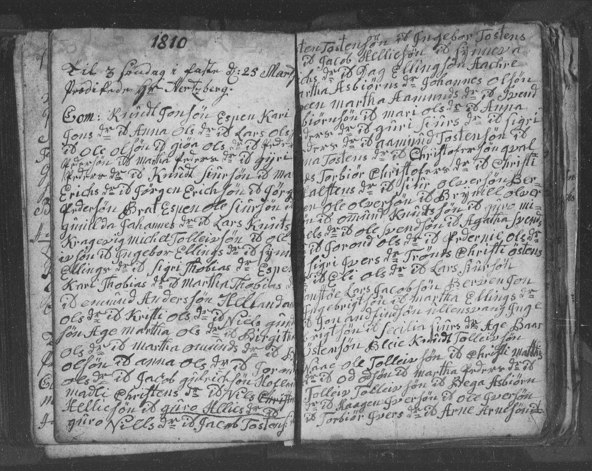 Ullensvang sokneprestembete, SAB/A-78701/H/Hab: Parish register (copy) no. B 8, 1804-1811