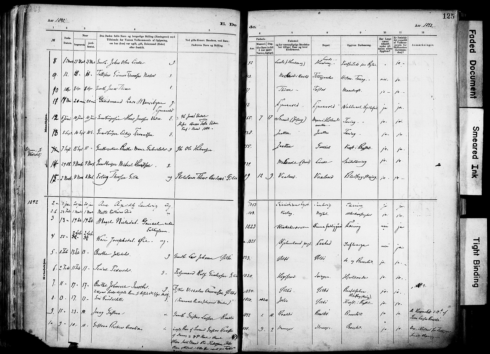 Hetland sokneprestkontor, SAST/A-101826/30/30BA/L0012: Parish register (official) no. A 12, 1882-1912, p. 125
