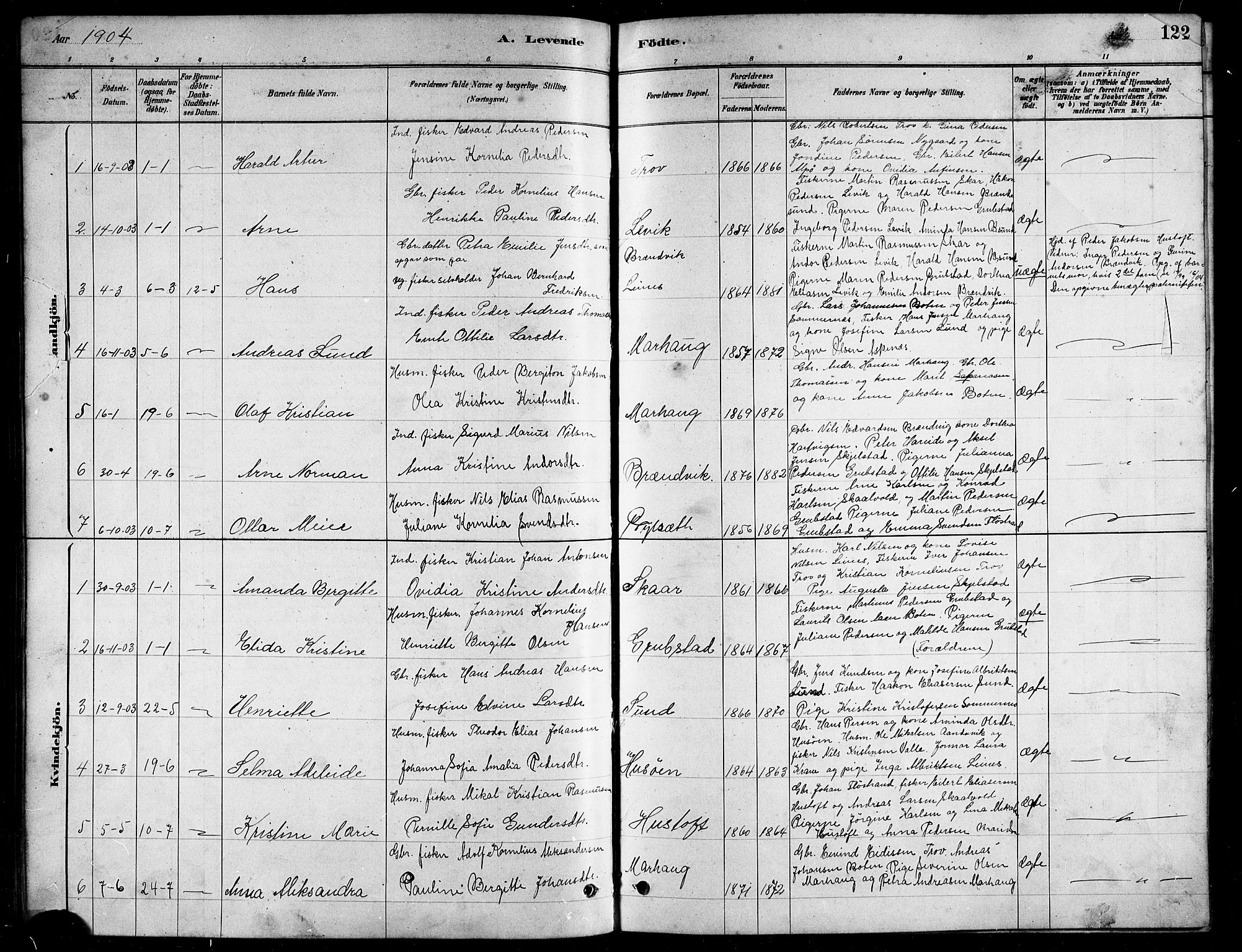 Ministerialprotokoller, klokkerbøker og fødselsregistre - Nordland, SAT/A-1459/857/L0828: Parish register (copy) no. 857C03, 1879-1908, p. 121