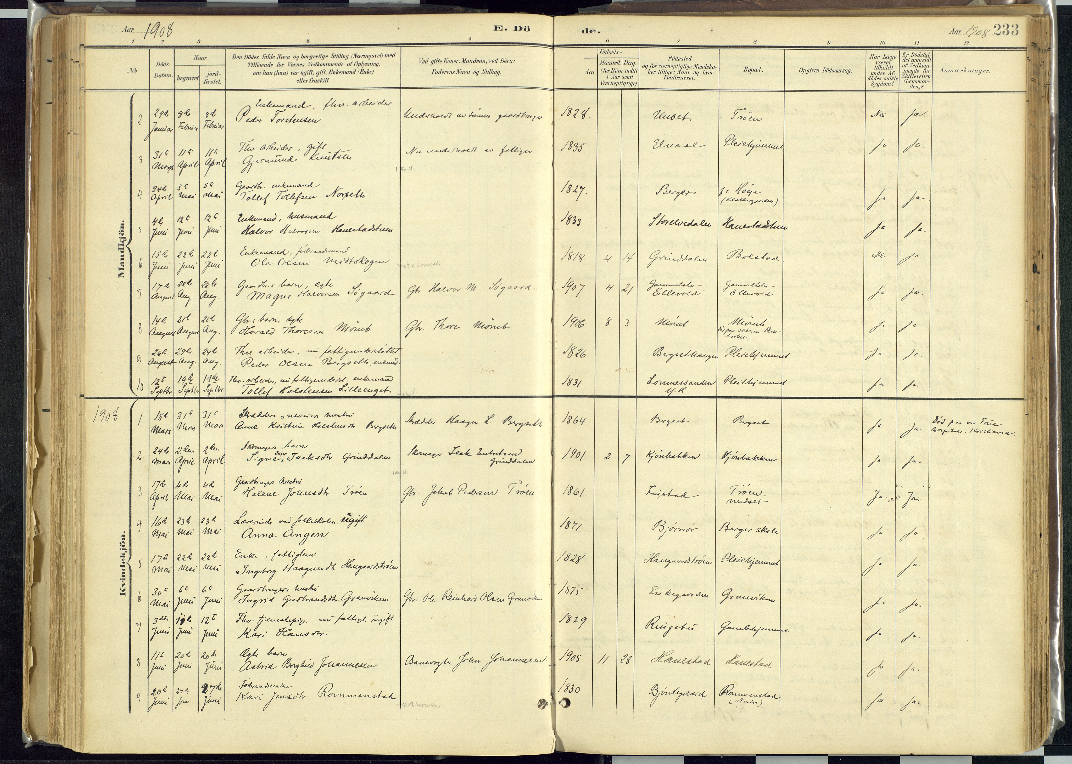 Rendalen prestekontor, SAH/PREST-054/H/Ha/Haa/L0012: Parish register (official) no. 12, 1901-1928, p. 233
